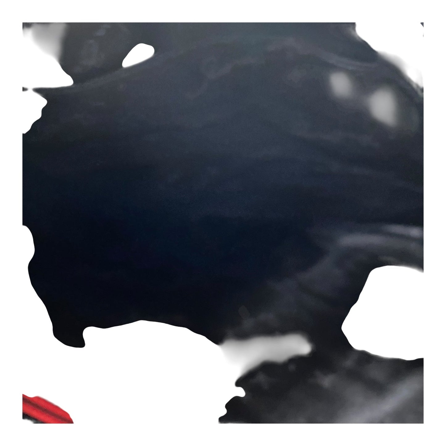 Tote By Vera Bradley In Black & Red, Size:Medium