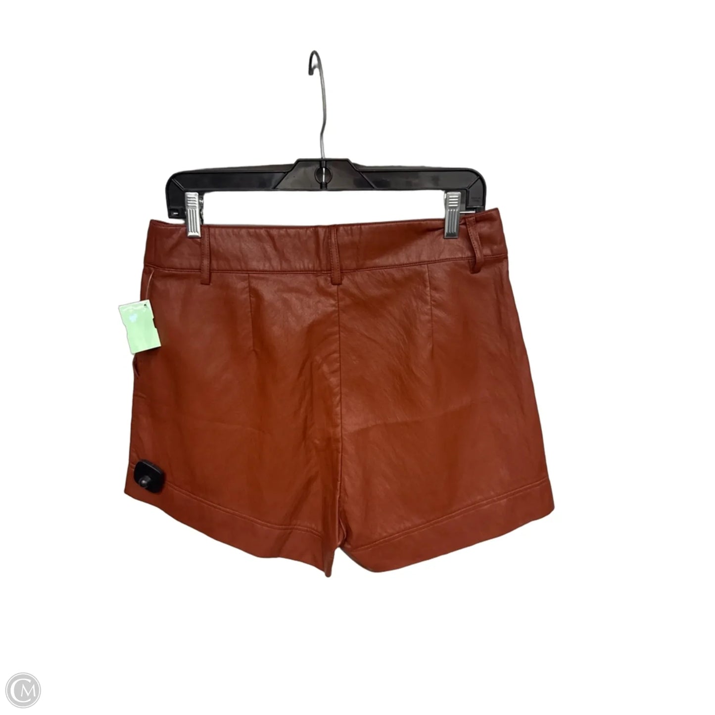 Shorts By Evereve In Brown, Size: L