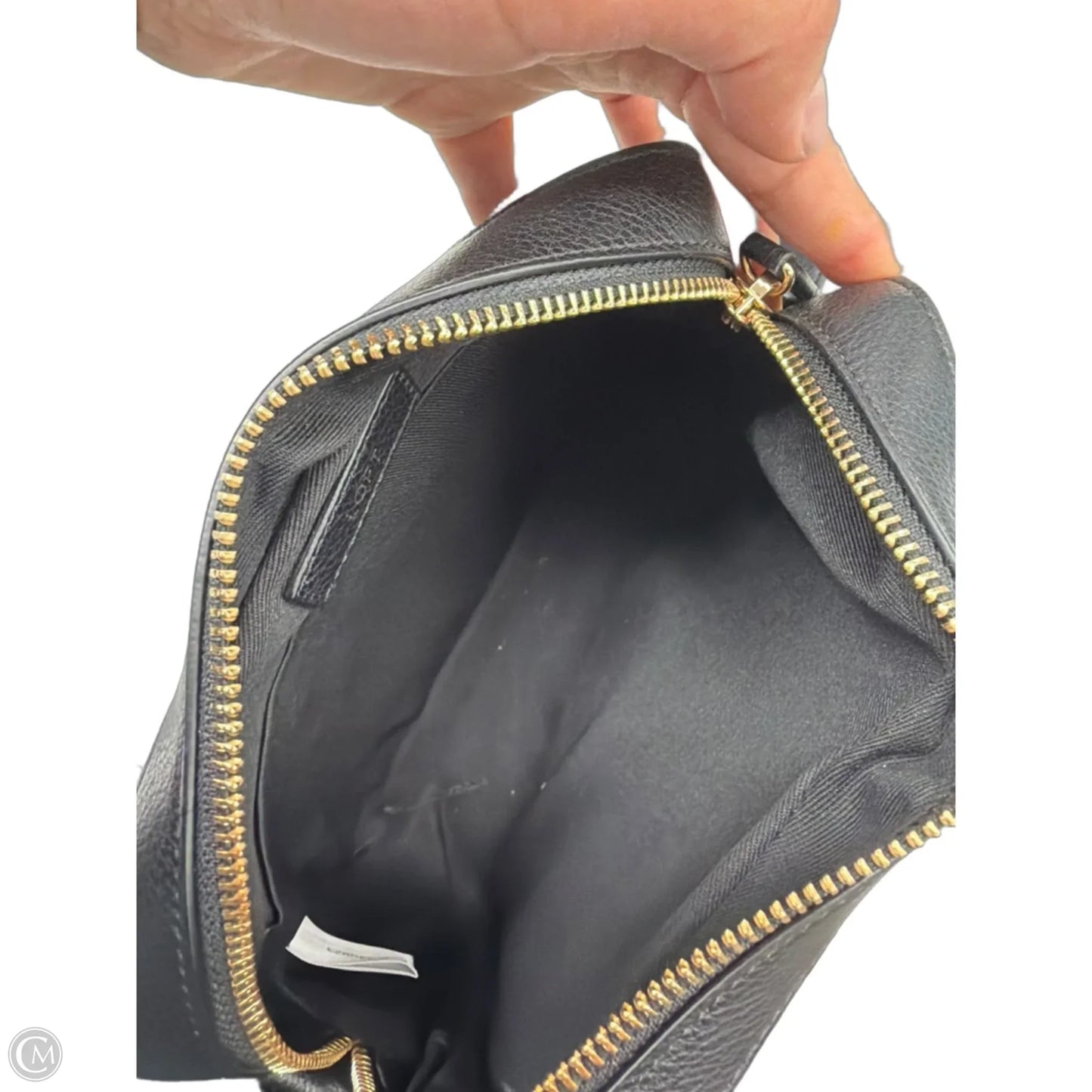 Crossbody By Loft, Size: Medium