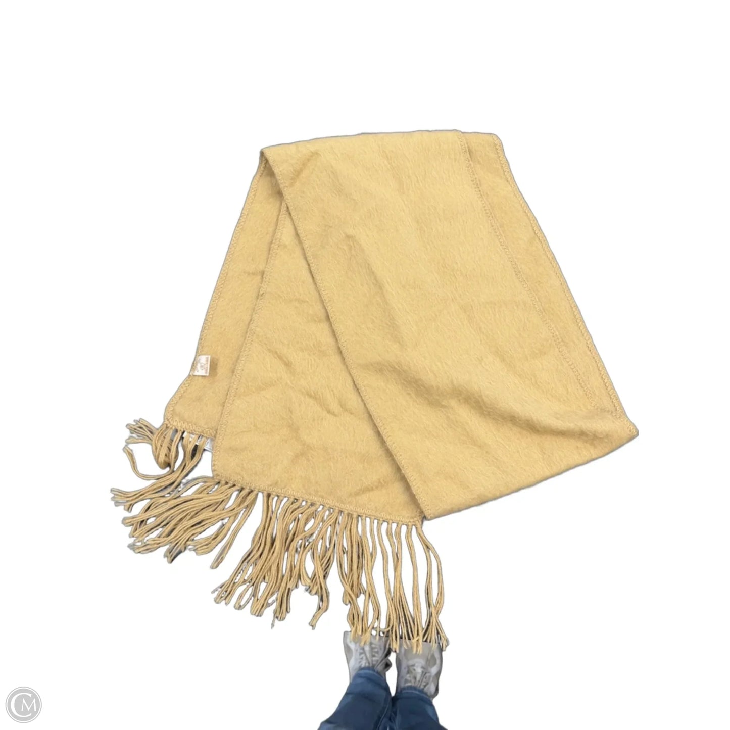 Scarf Winter By Clothes Mentor In Tan