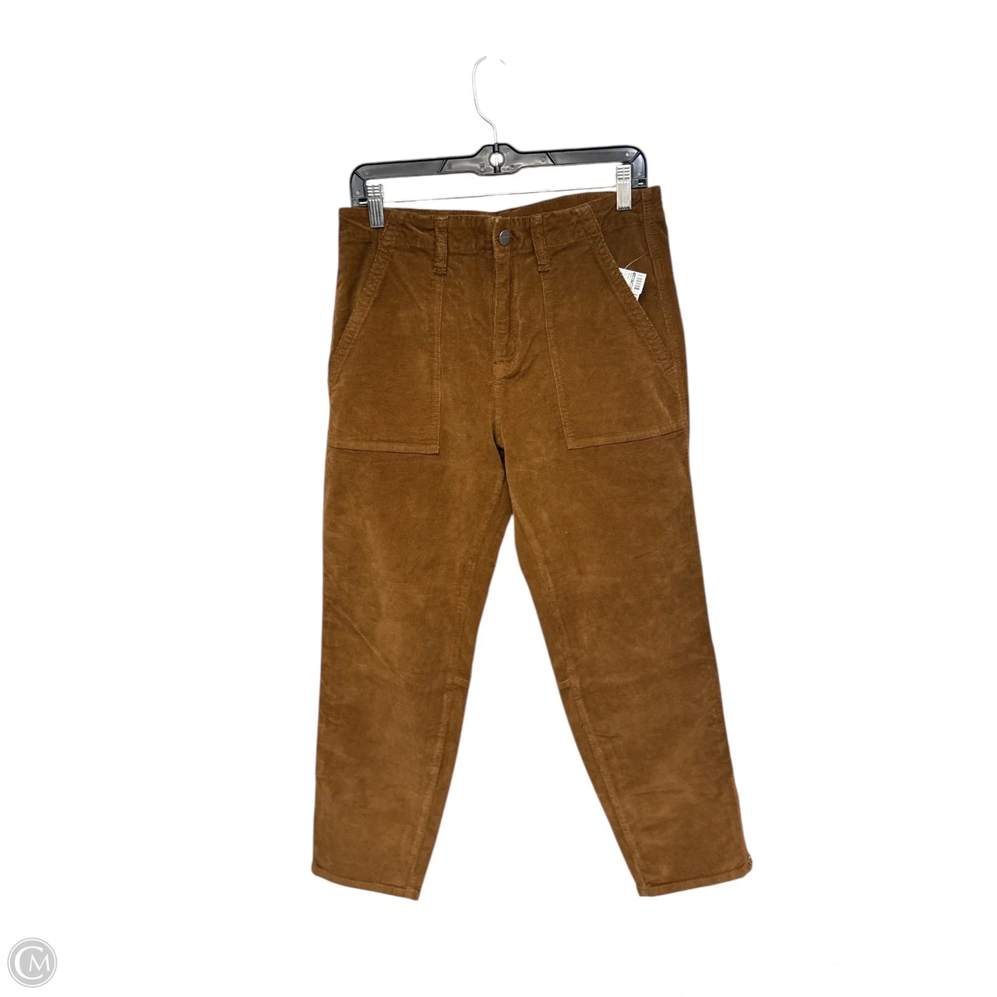 Pants Corduroy By Sanctuary In Brown, Size: 14