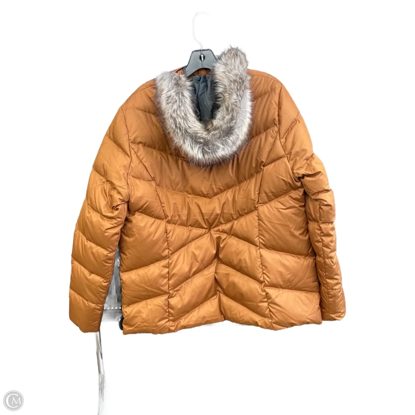 Coat Parka By Eddie Bauer In Brown, Size: Xl