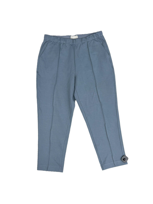 Pants Other By Everlane  Size: Xl