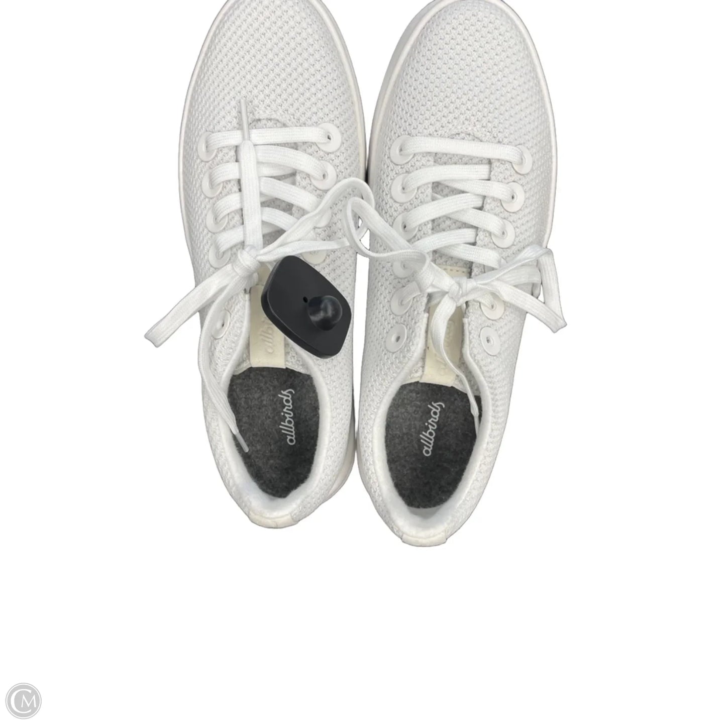 Shoes Sneakers By Allbirds In White, Size: 10.5