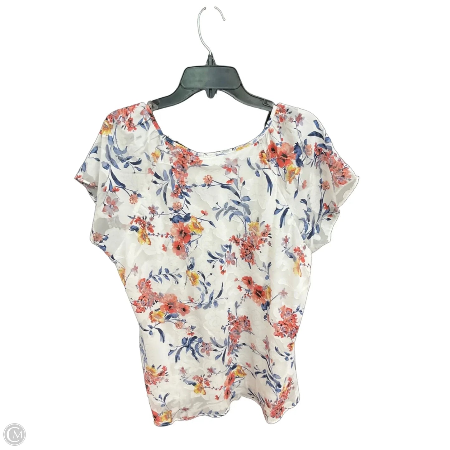 Top Short Sleeve By Tamara H In White, Size: 2x