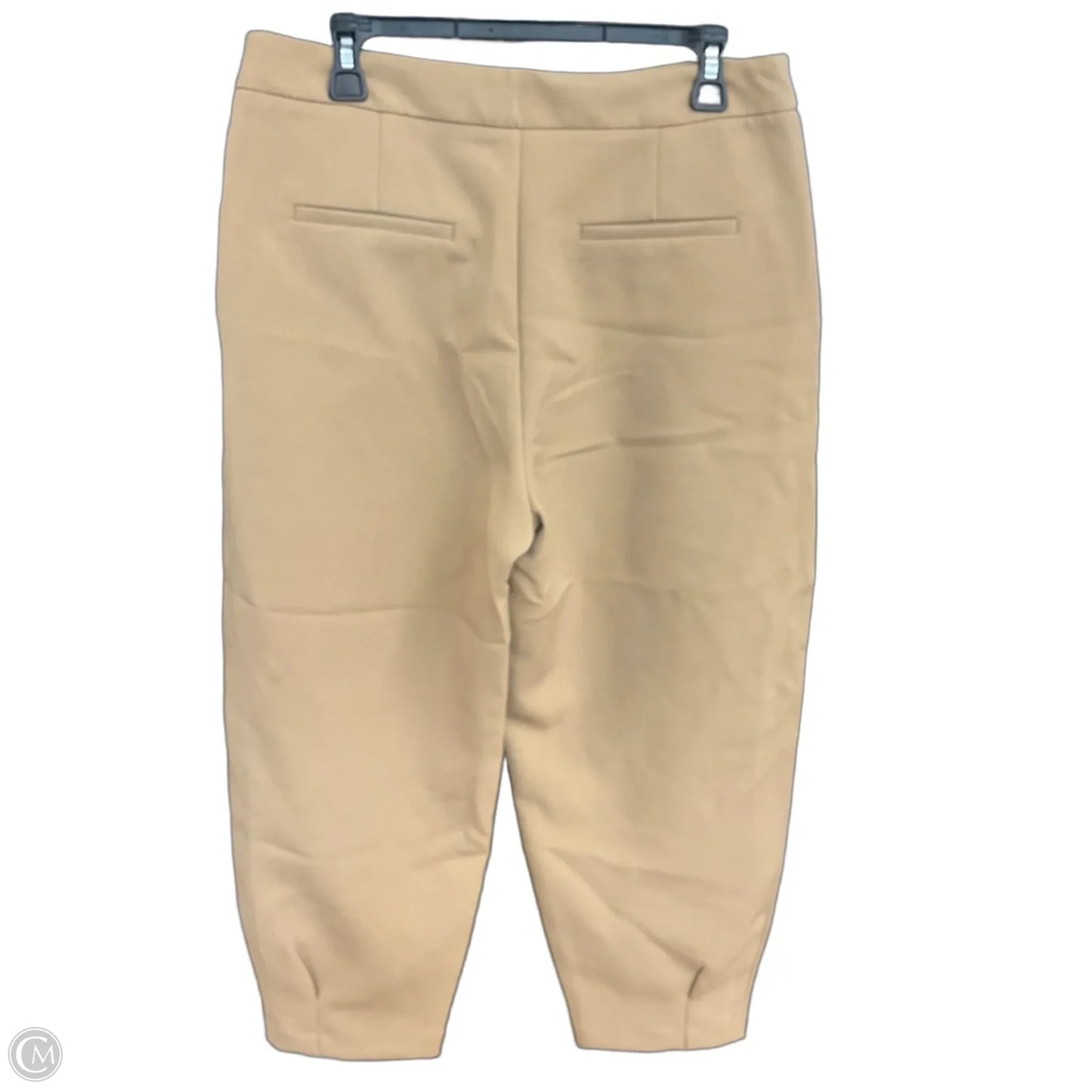 Pants Other By Zara Basic In Tan, Size: L