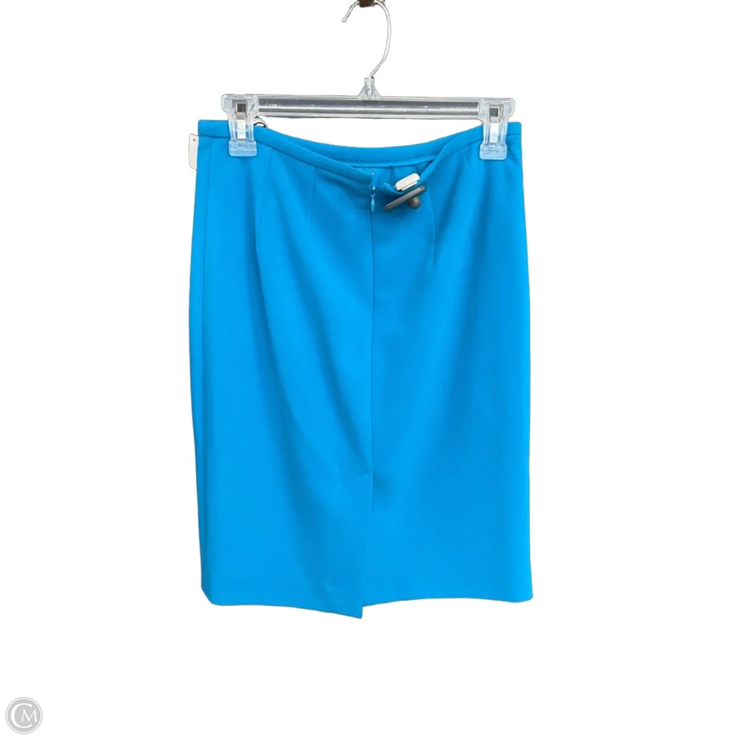 Skirt Maxi By Calvin Klein In Blue, Size: 2