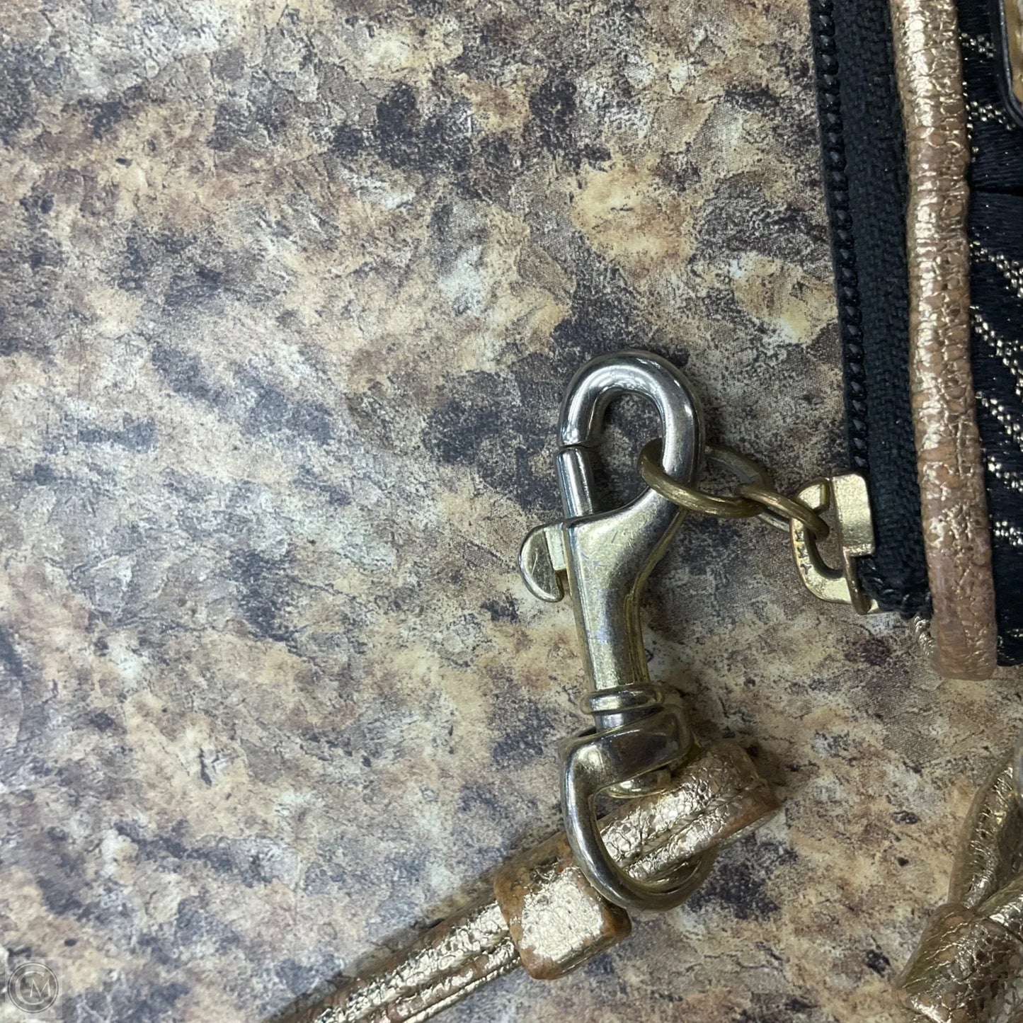 Wristlet Designer By Coach, Size: Small