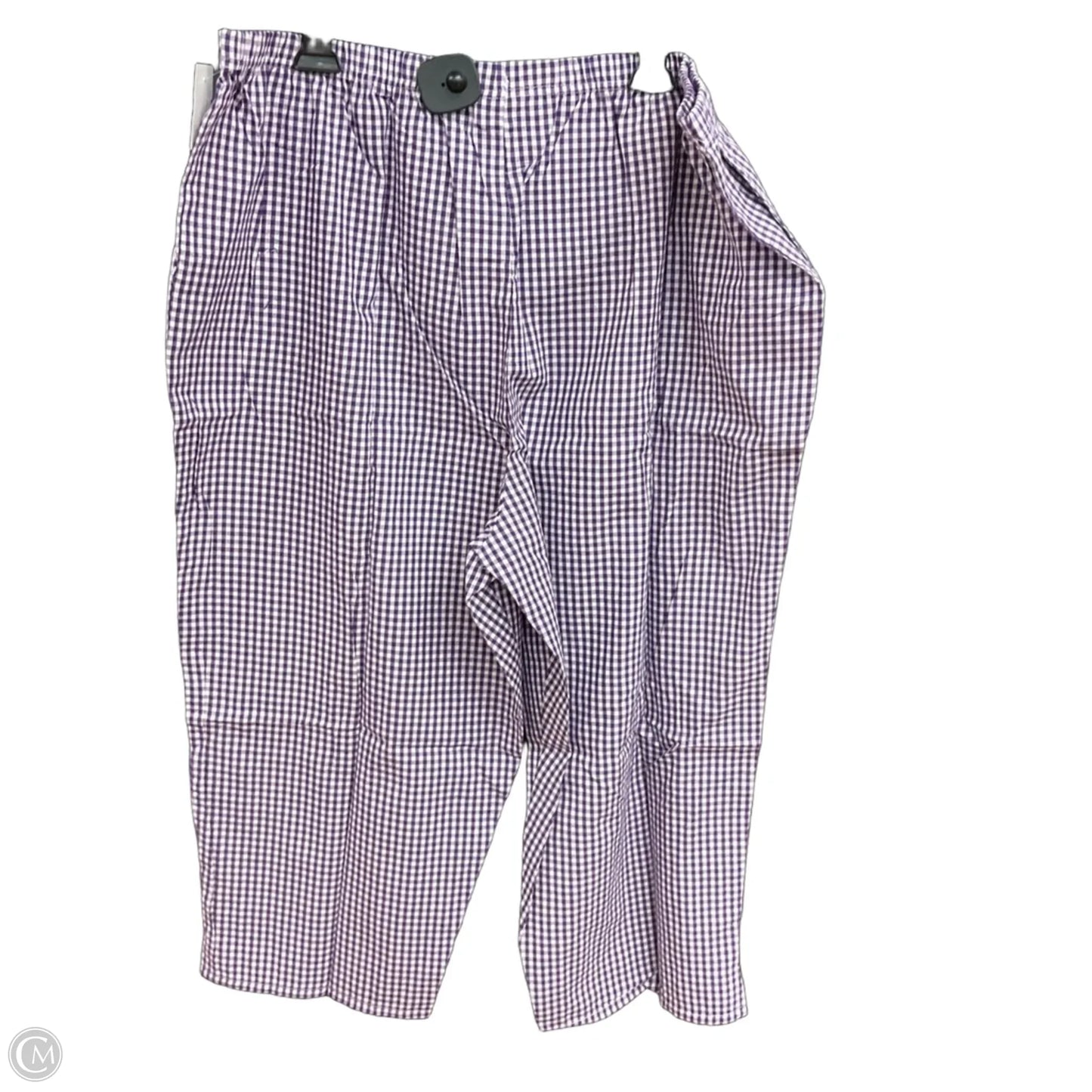 Pants Set 2pc By Blair In Purple, Size: 2x