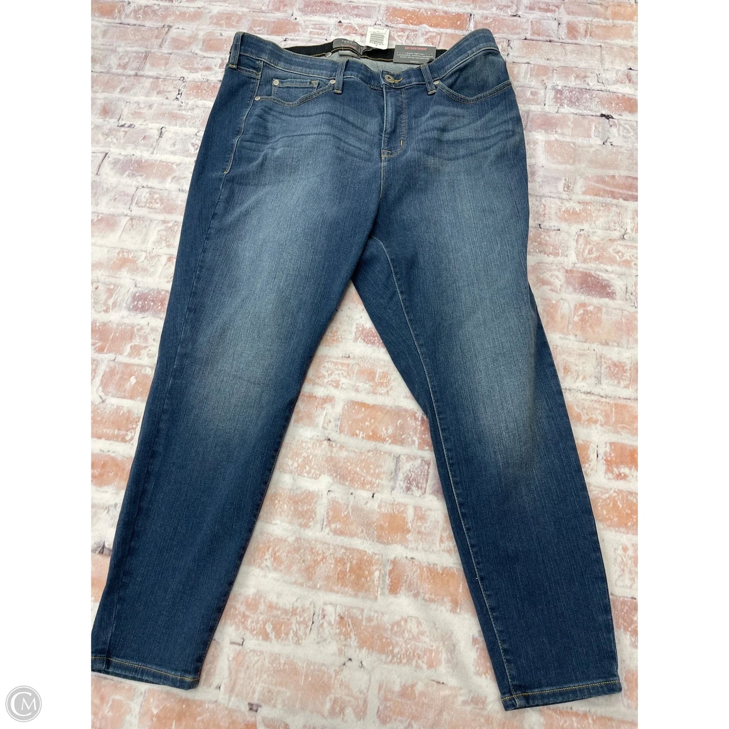 Jeans Skinny By Torrid In Blue Denim, Size: 20