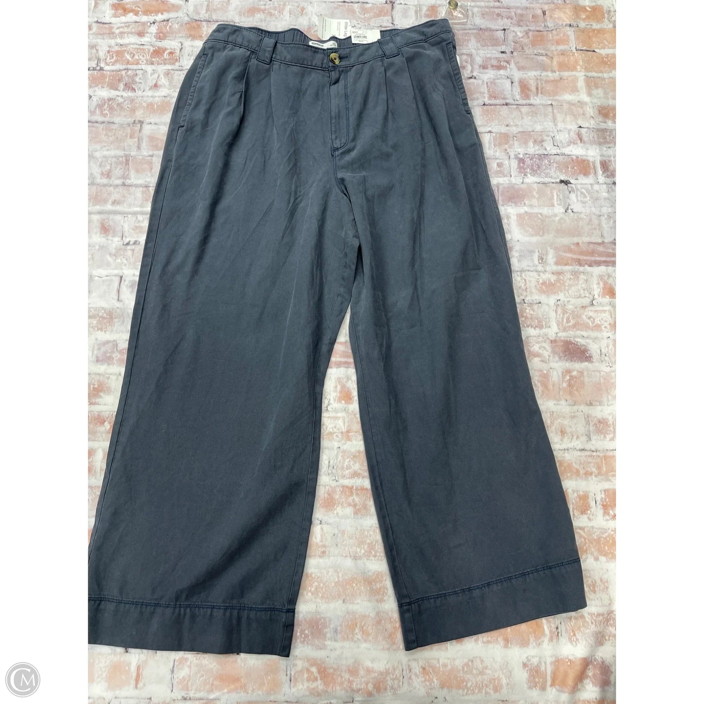 Pants Cargo & Utility By Sonoma In Blue, Size: 1x