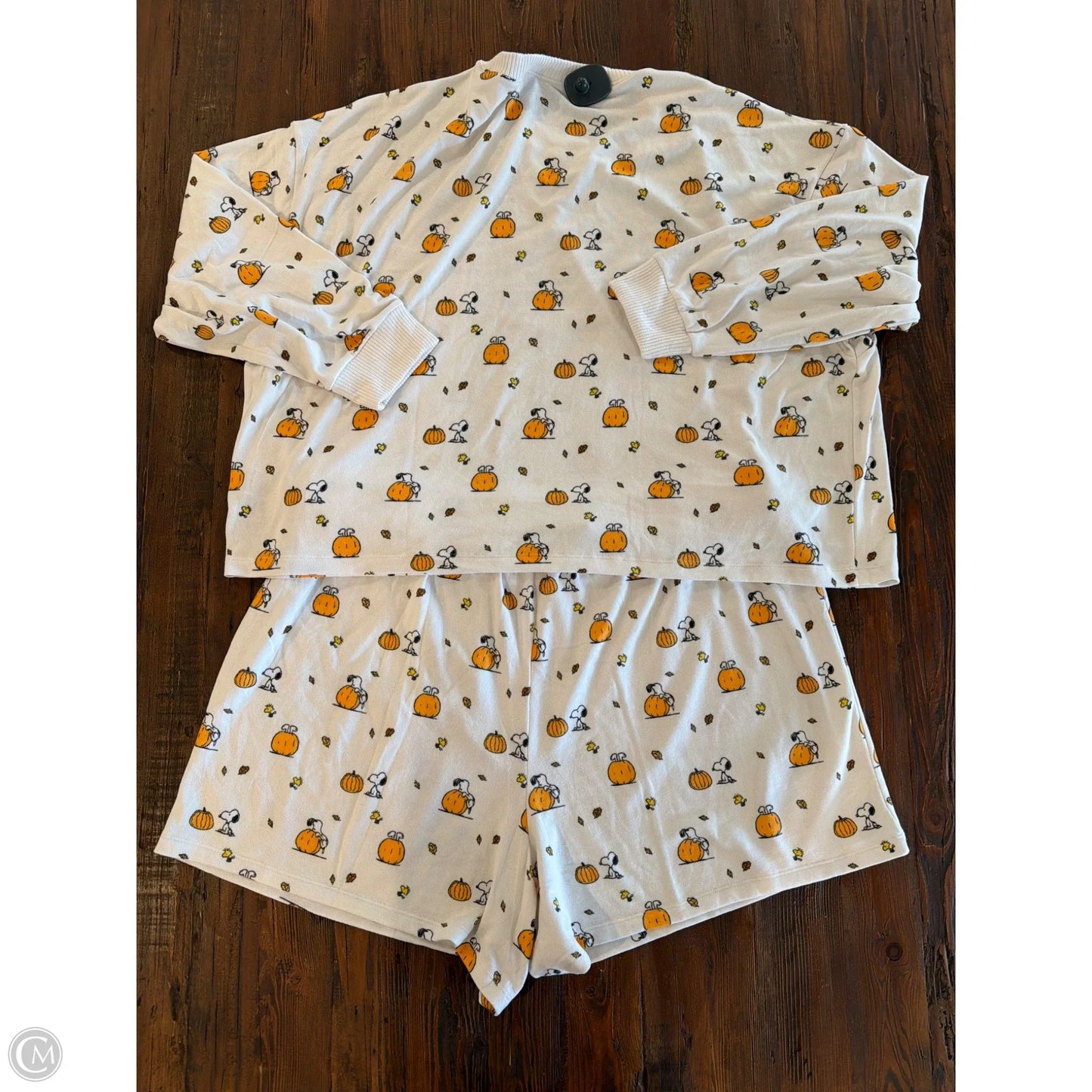 Pajamas 2pc By American Eagle In White, Size: 1x
