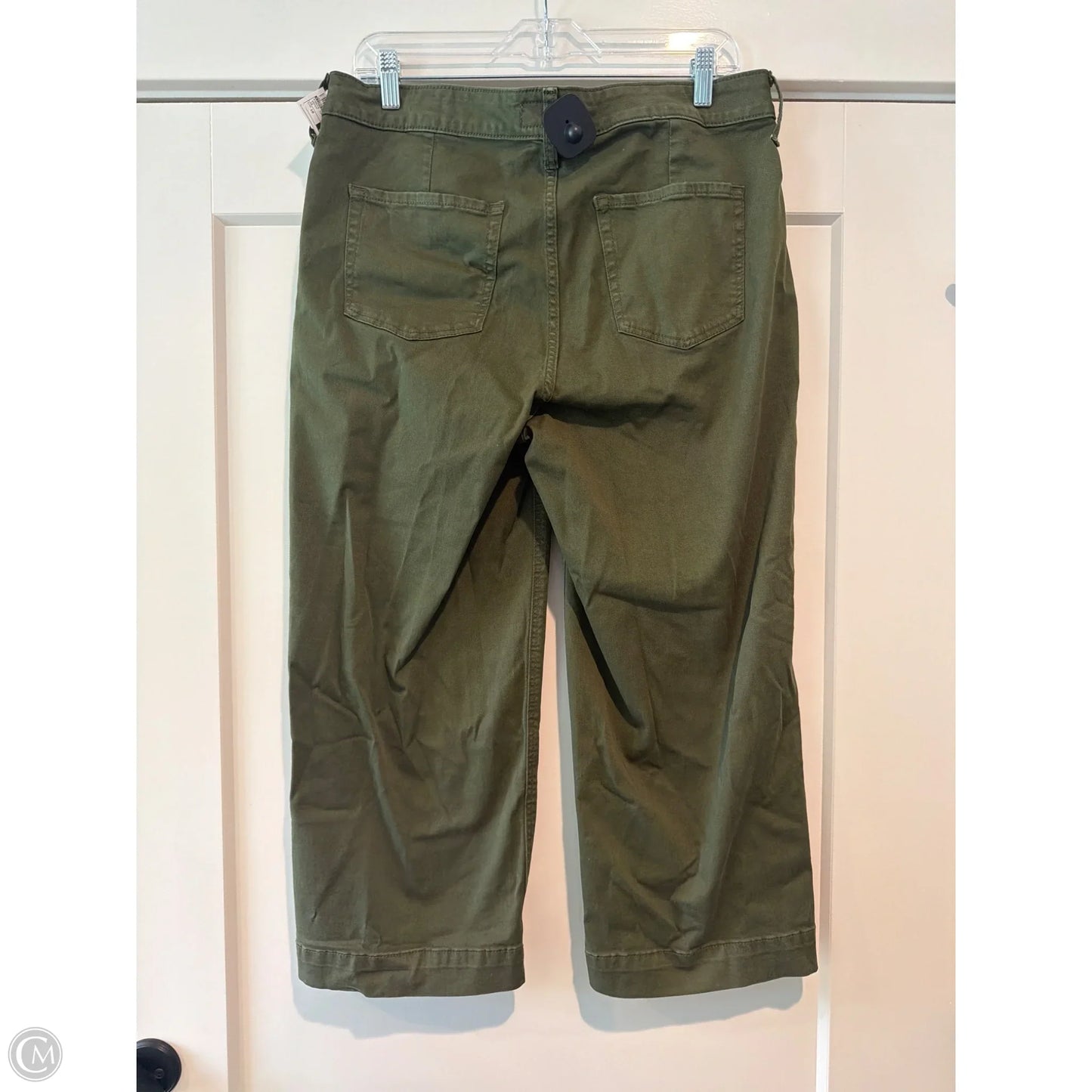 Pants Cargo & Utility By Torrid In Green, Size: 10