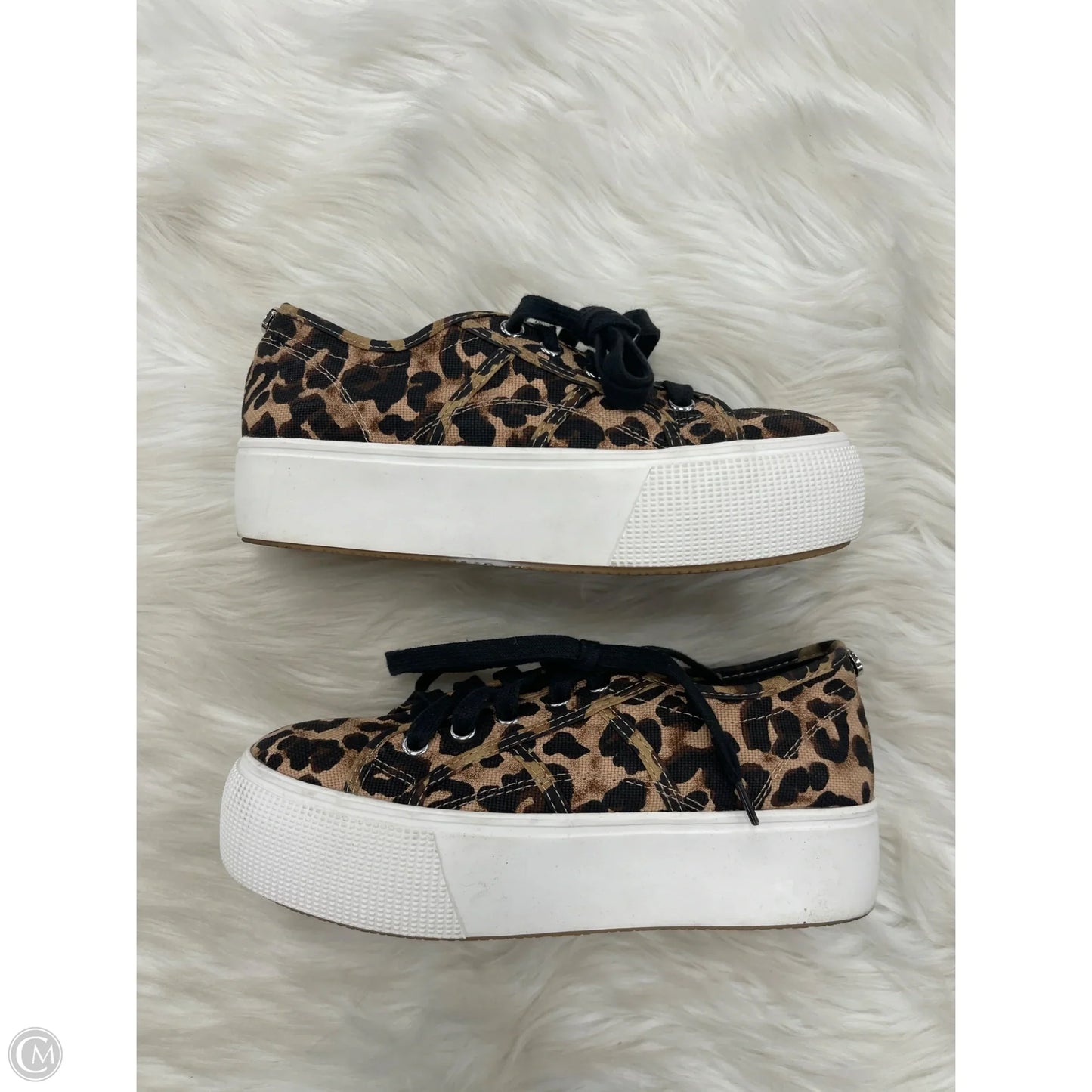 Shoes Sneakers By Steve Madden In Animal Print, Size: 6.5