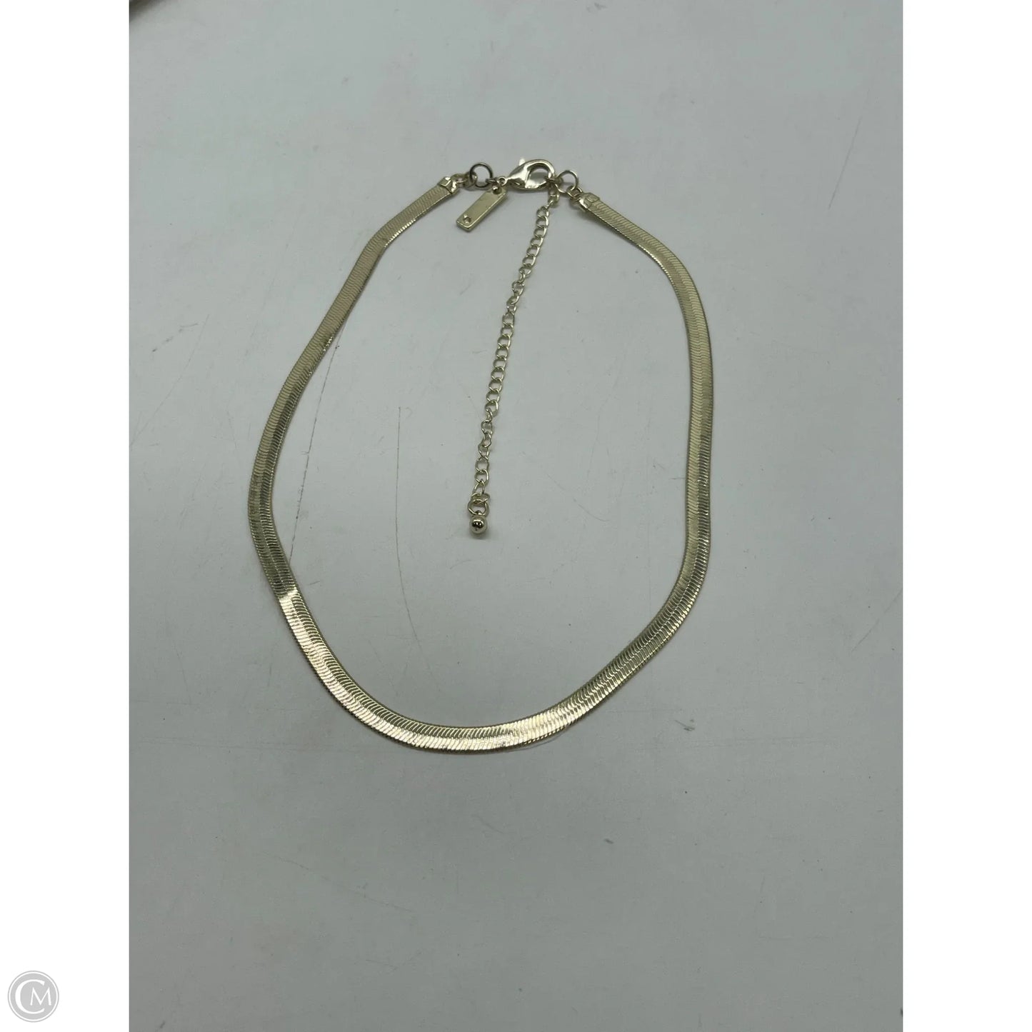 Necklace Chain By White House Black Market