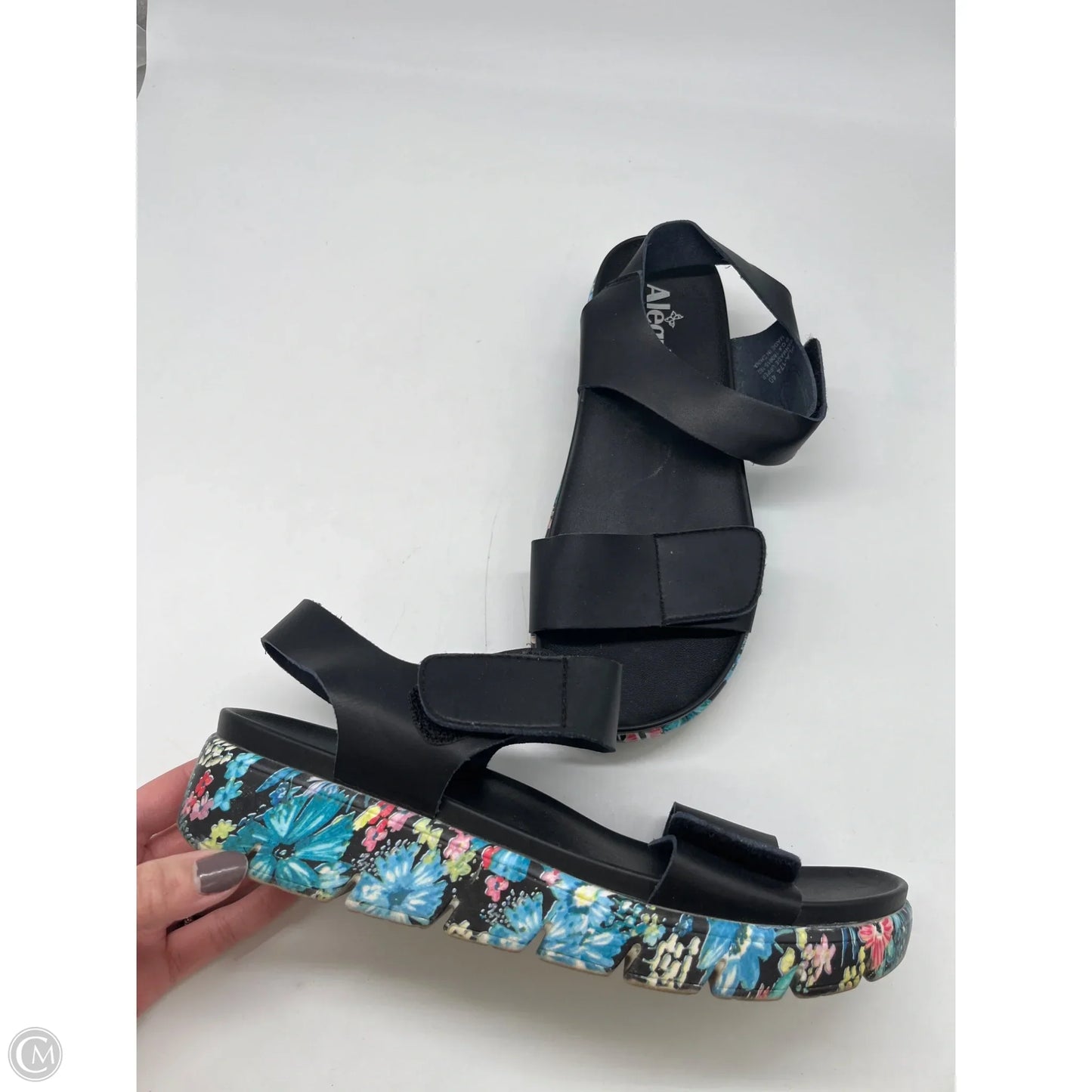 Sandals Heels Platform By Alegria In Black, Size: 10