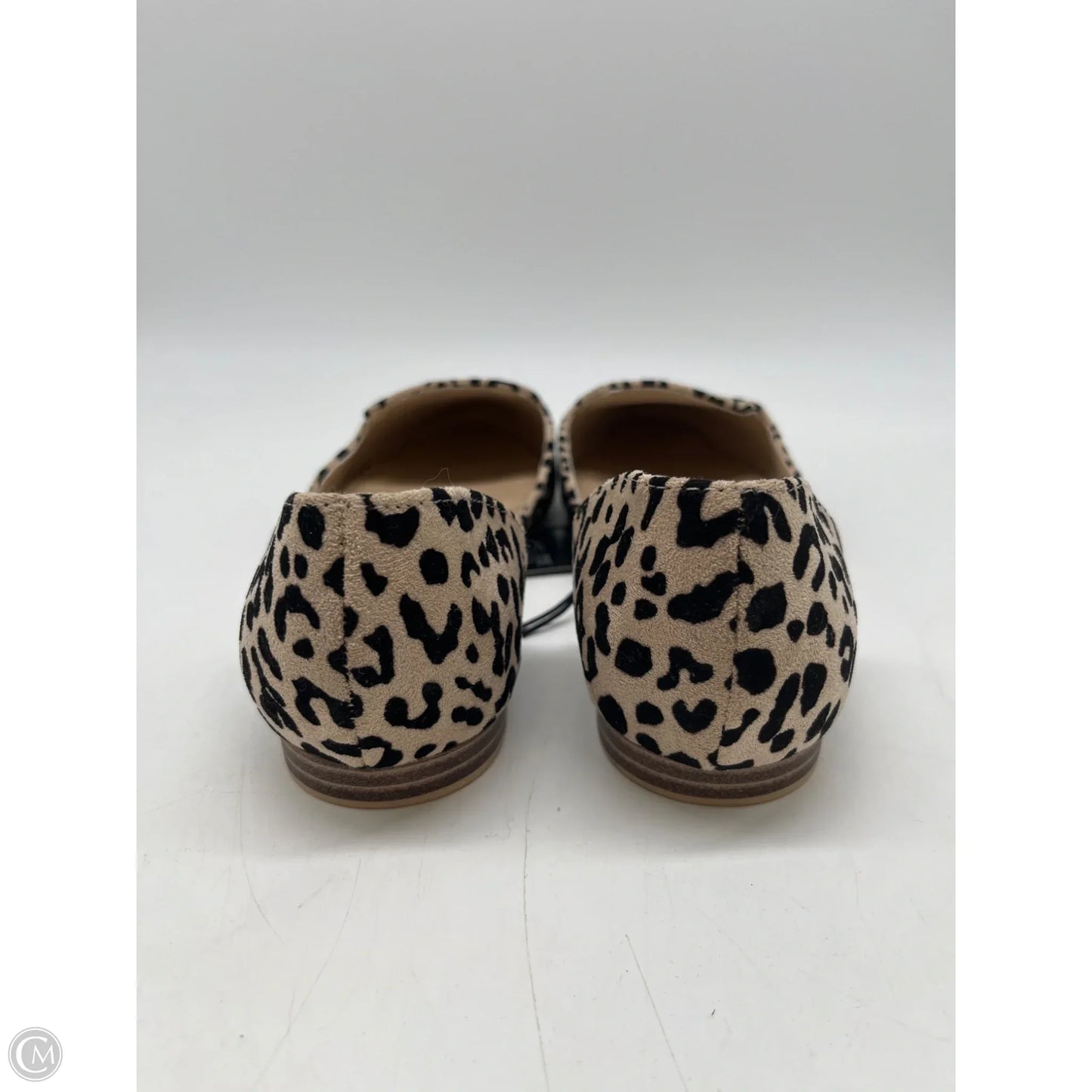 Shoes Flats By Rachel Zoe In Black & Tan, Size: 8.5