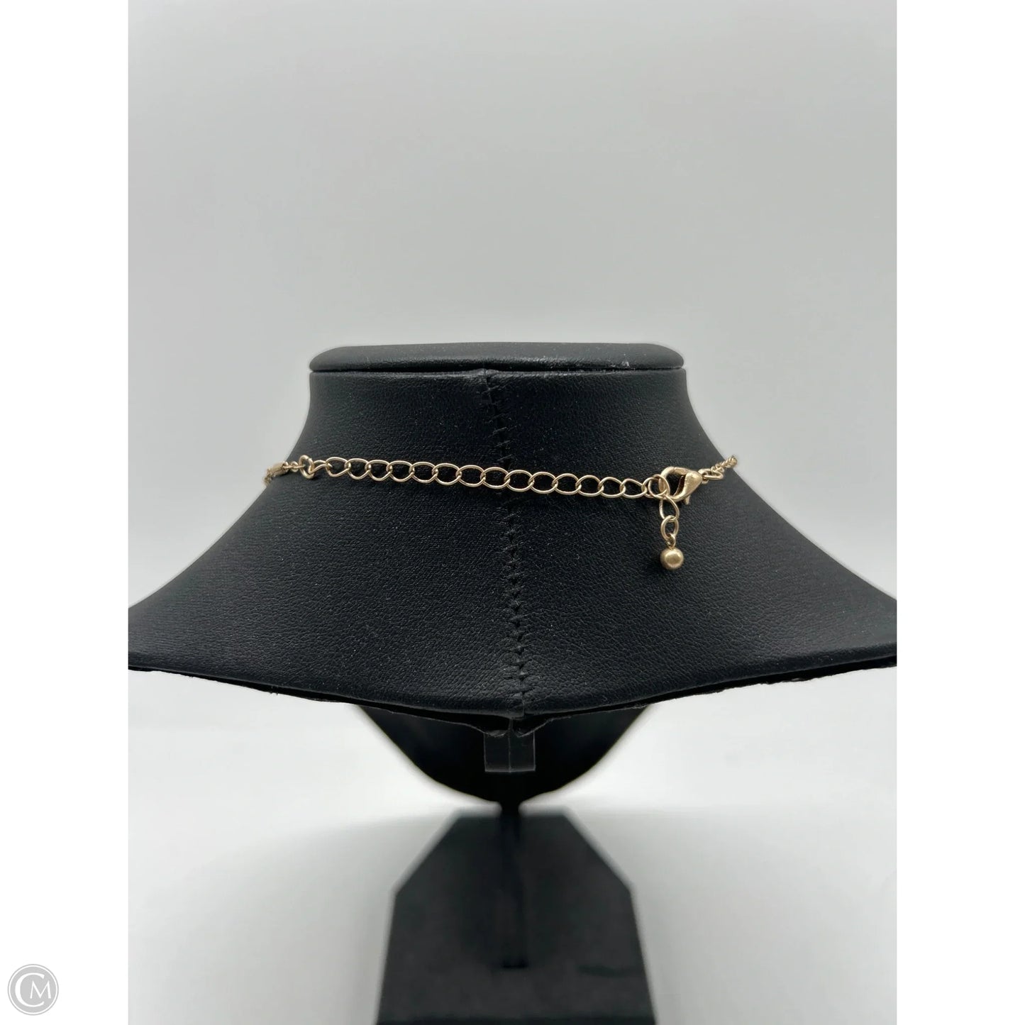 Necklace Pendant By Clothes Mentor
