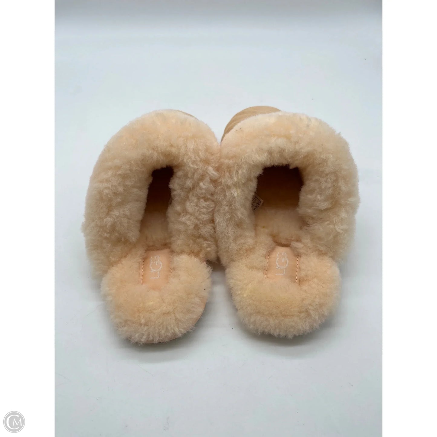 Slippers Designer By Ugg In Orange, Size: 6