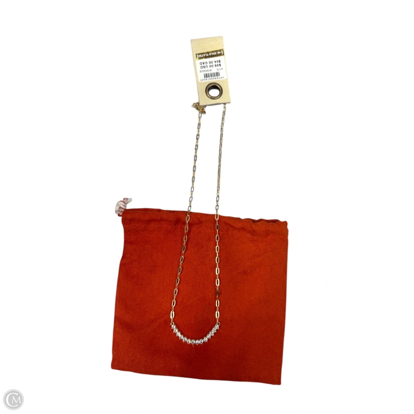 Necklace Chain By Anthropologie