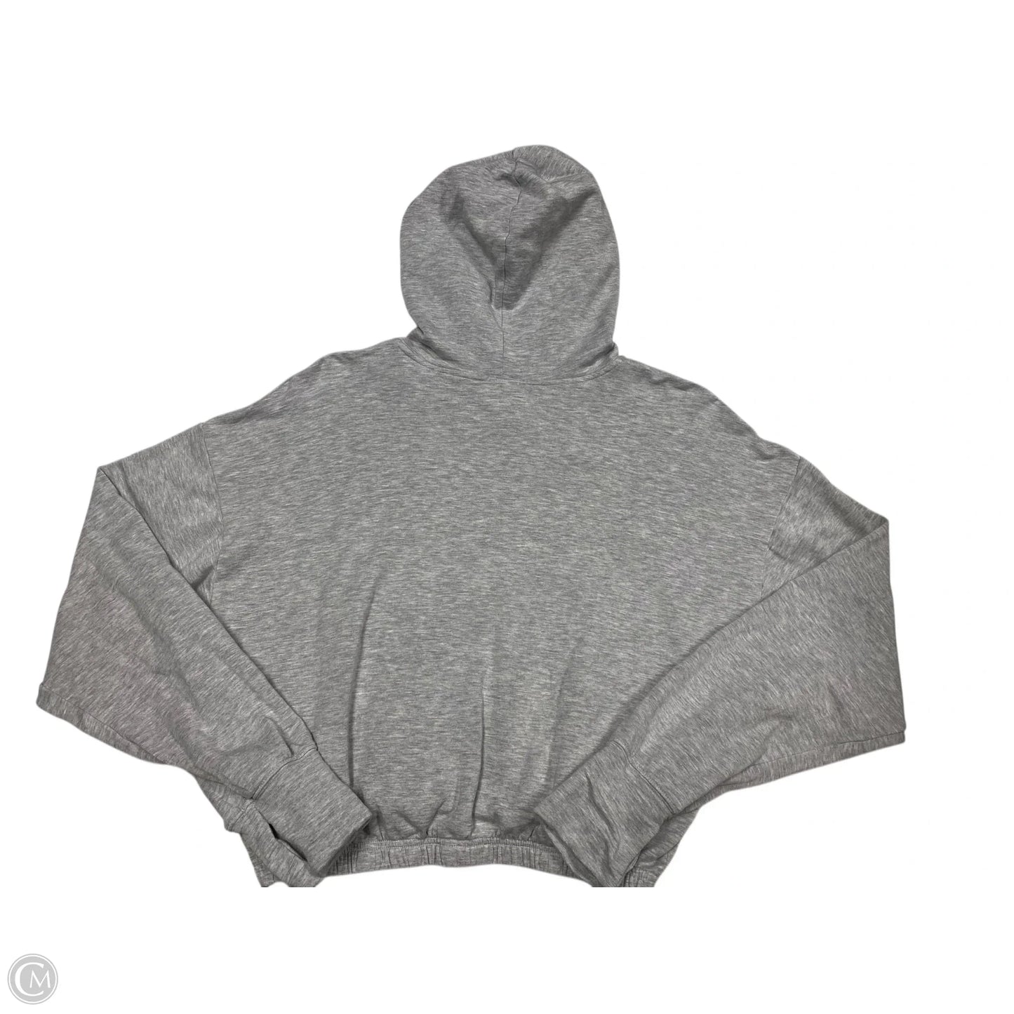 Athletic Sweatshirt Hoodie By Aerie In Grey, Size: M
