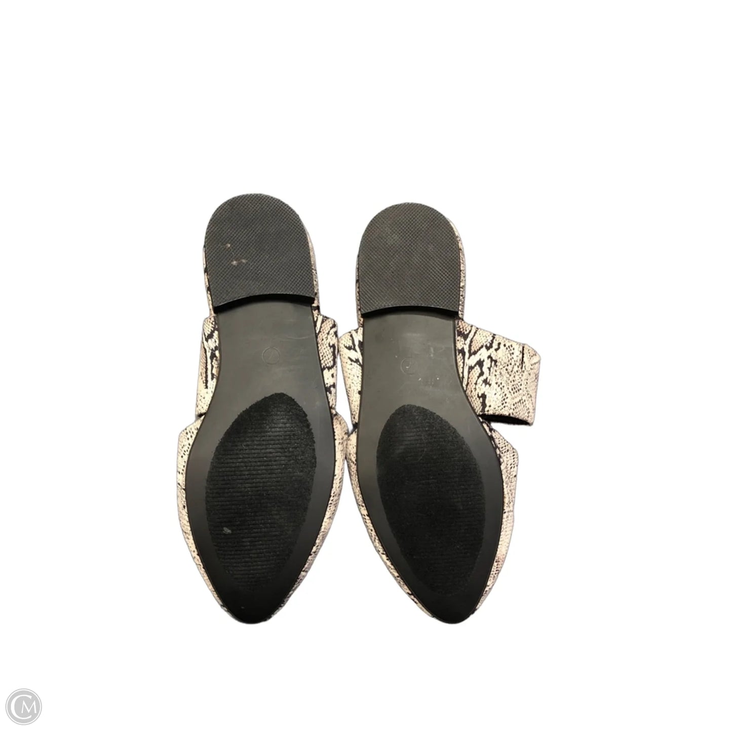 Shoes Flats By Boutique + In Snakeskin Print, Size: 7