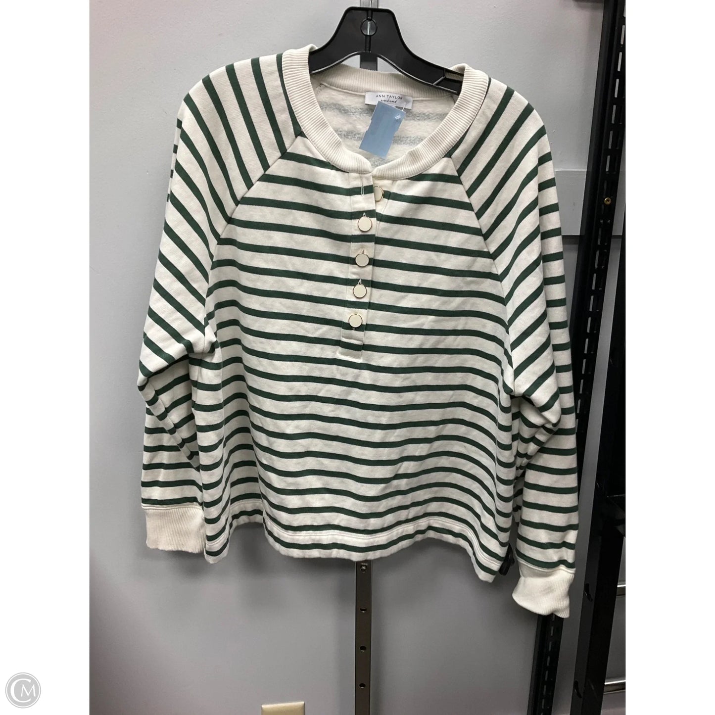 Top Long Sleeve By Ann Taylor In Striped Pattern, Size: Xl