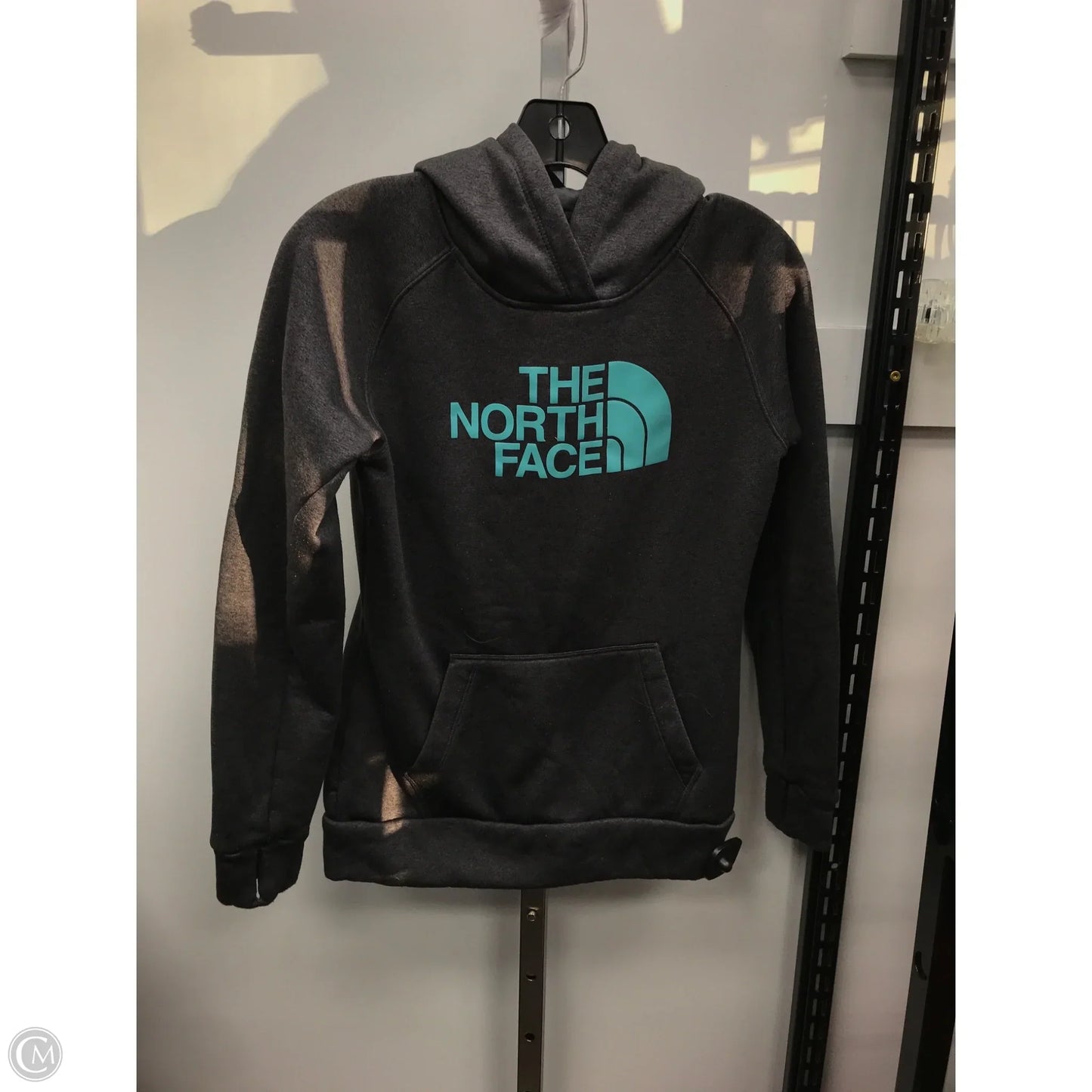 Sweatshirt Hoodie By The North Face In Grey, Size: Xs