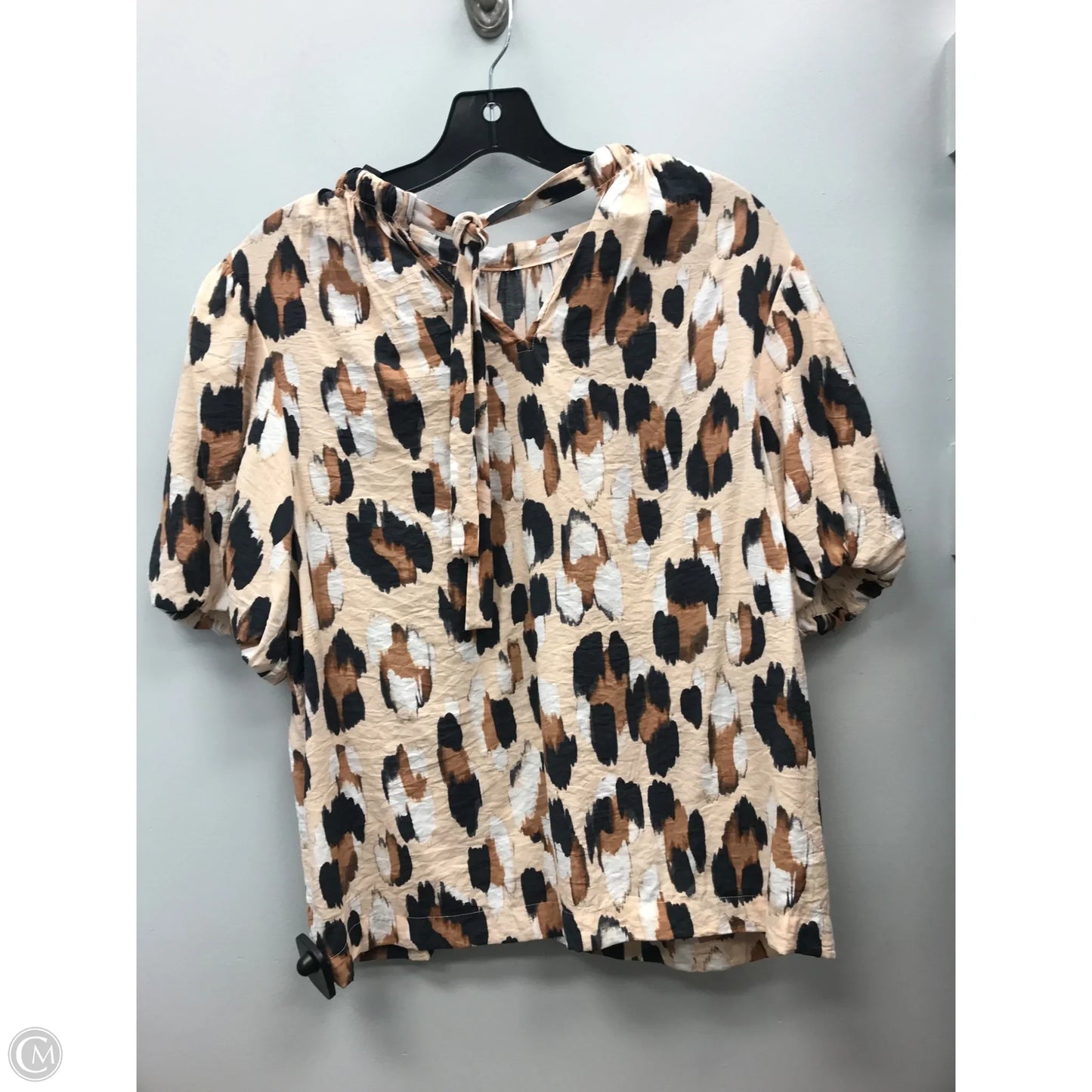 Top Short Sleeve By Ann Taylor In Cream & Tan, Size: M