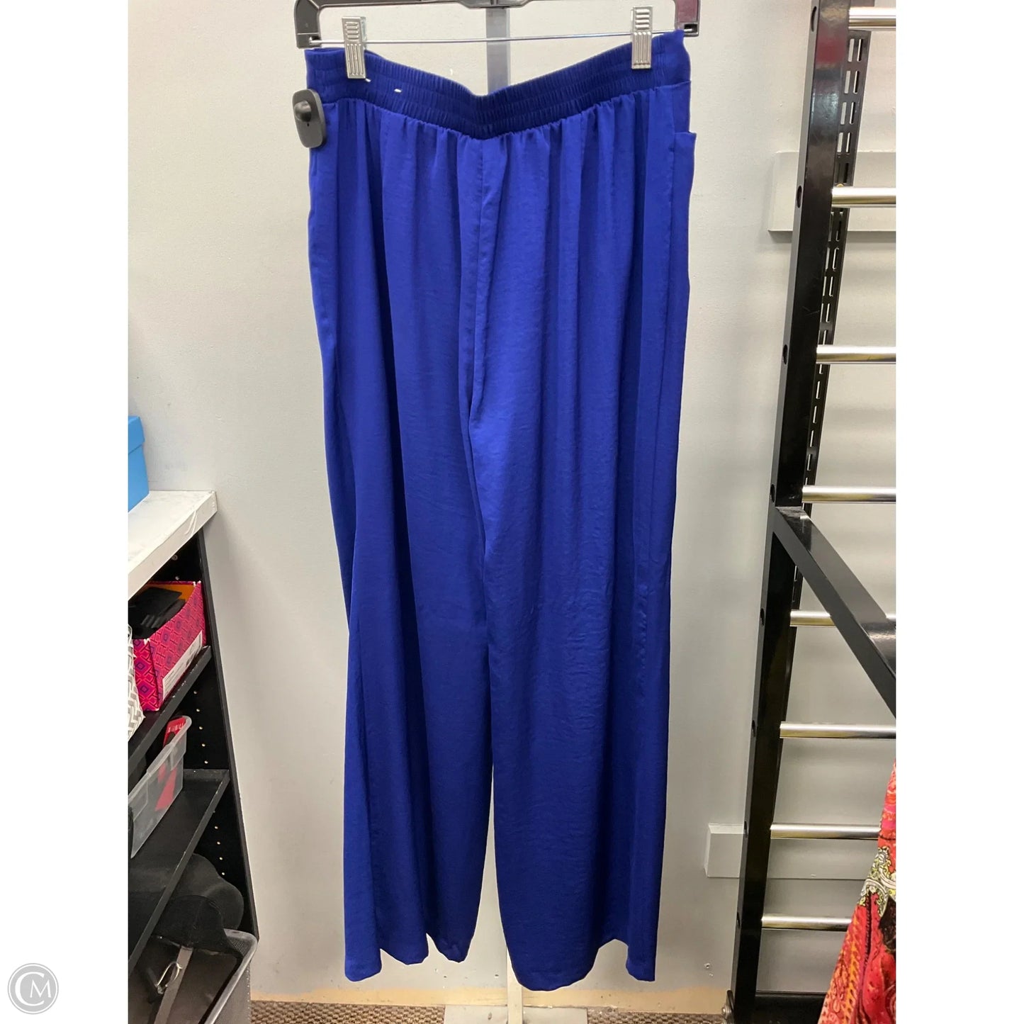 Pants Other By Chicos In Blue, Size: 4