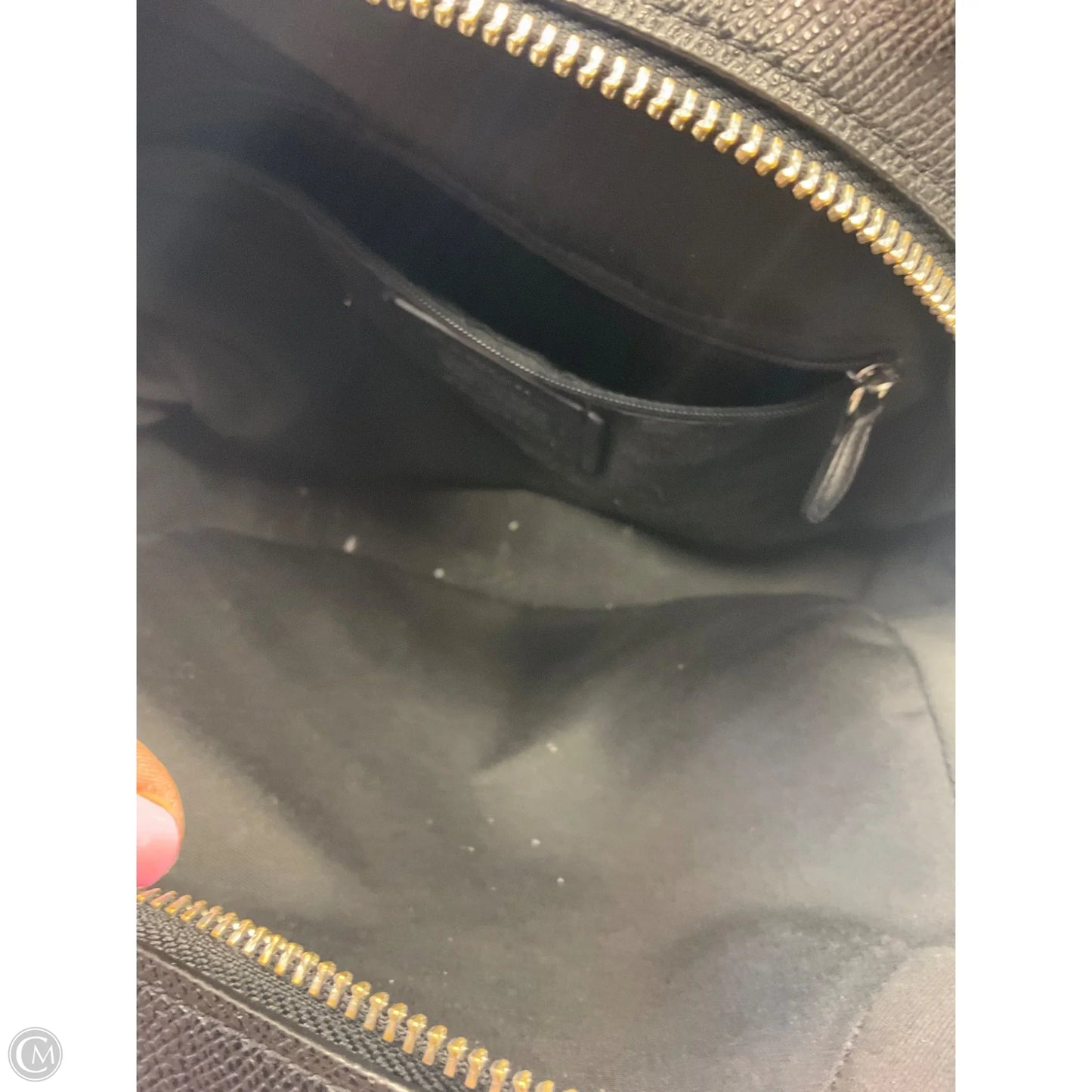 Backpack Designer By Coach, Size: Medium