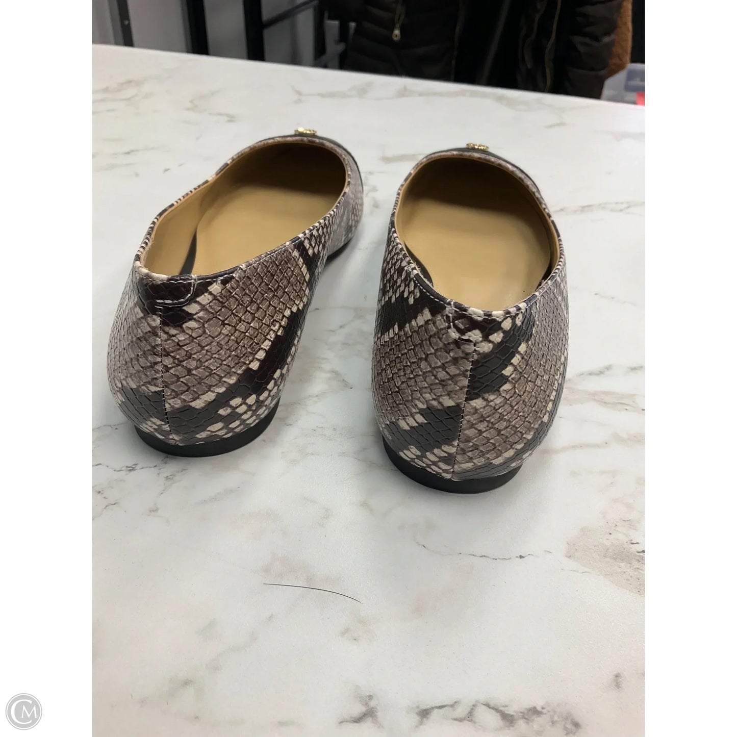 Shoes Flats By Michael By Michael Kors In Snakeskin Print, Size: 7.5