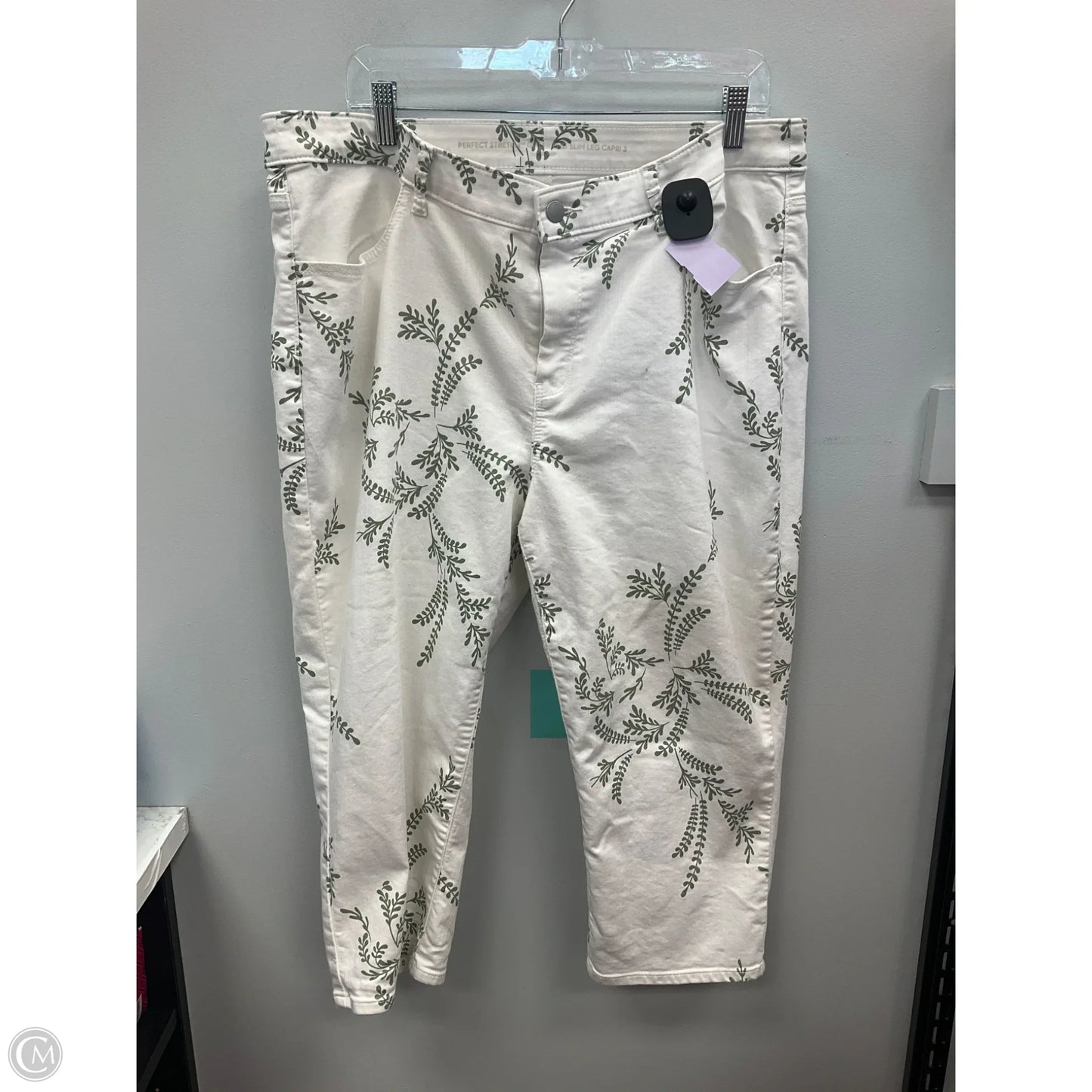 Capris By Chicos In Cream & Green, Size: Xl