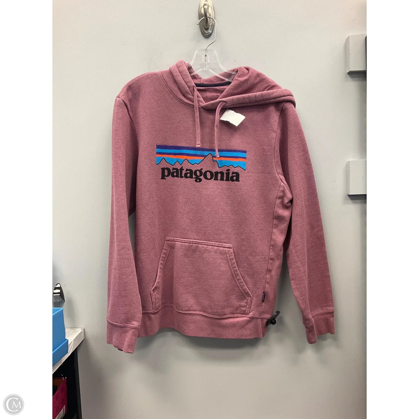 Sweatshirt Hoodie By Patagonia In Mauve, Size: M