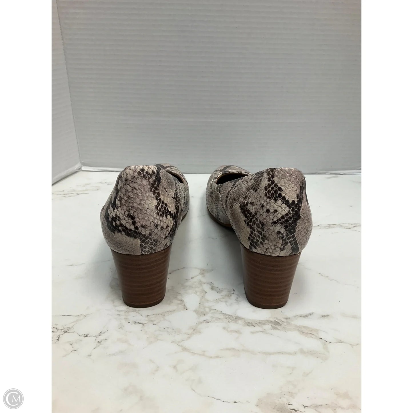 Shoes Heels Block By Clarks In Snakeskin Print, Size: 9.5