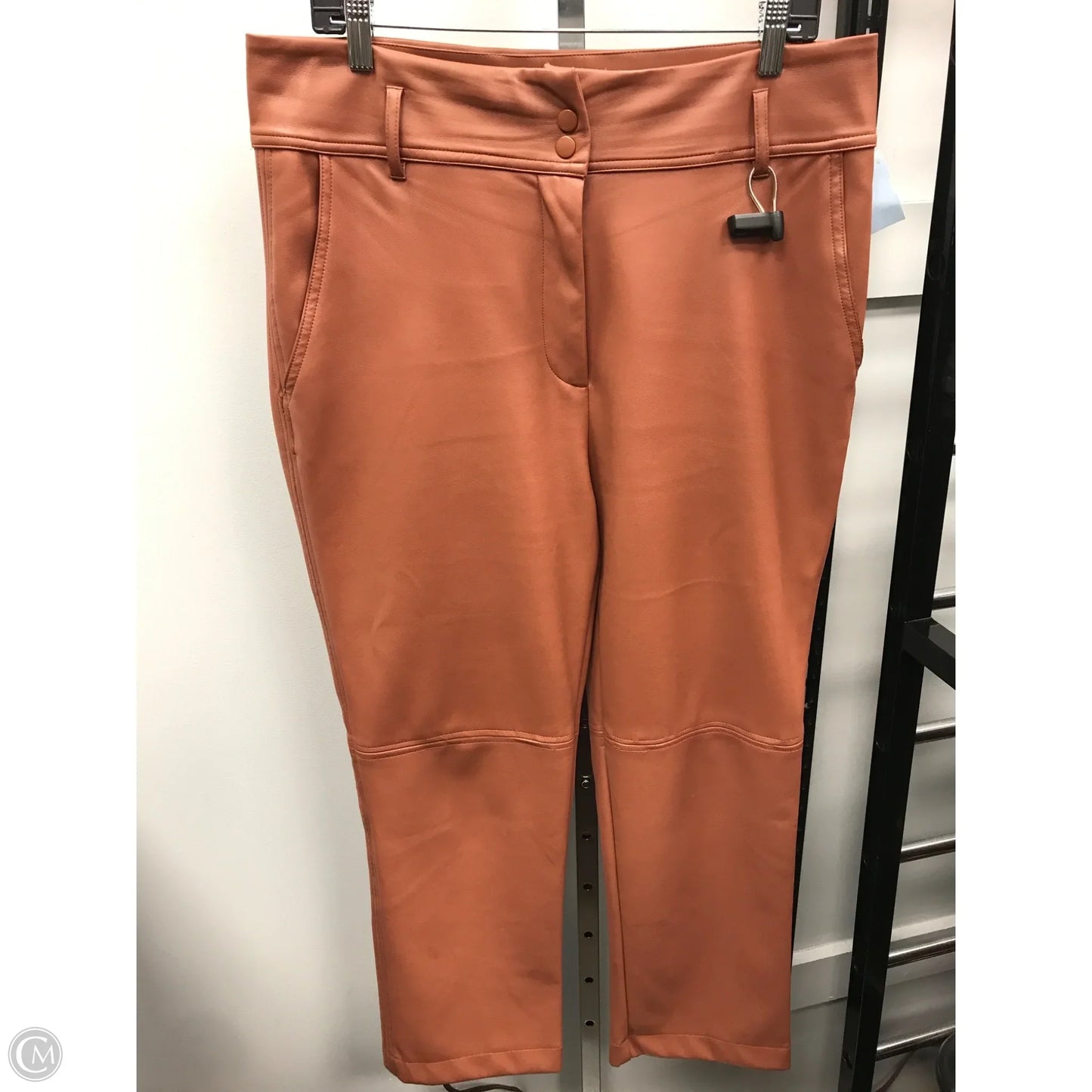 Pants Other By Shinestar In Copper, Size: Xl