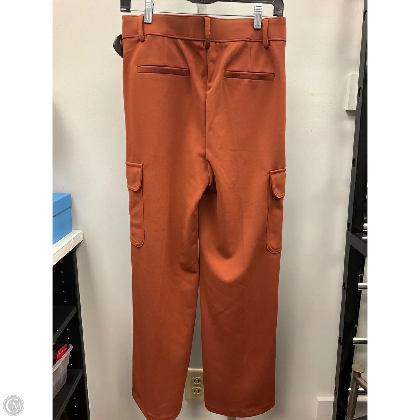 Pants Cargo & Utility By Clothes Mentor In Copper, Size: M