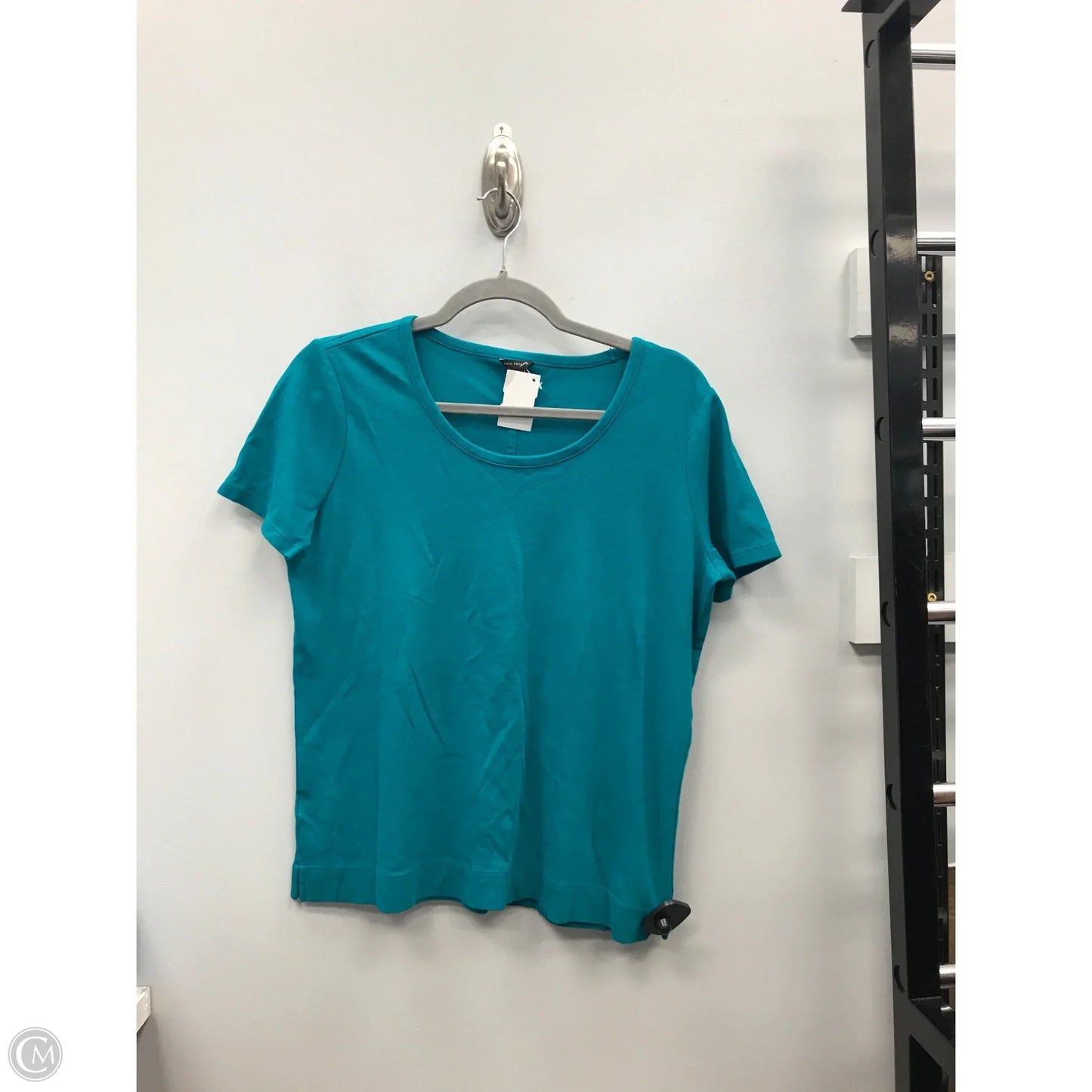 Top Short Sleeve By Ann Taylor In Teal, Size: M
