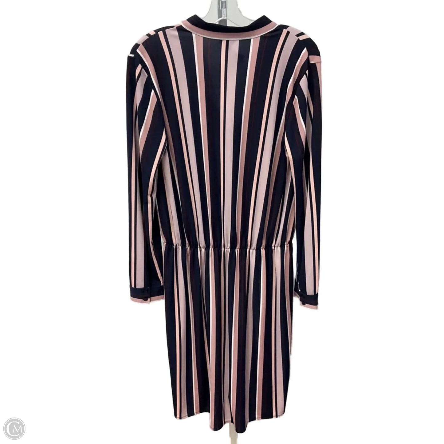 Dress Casual Short By Ann Taylor In Striped Pattern, Size: M