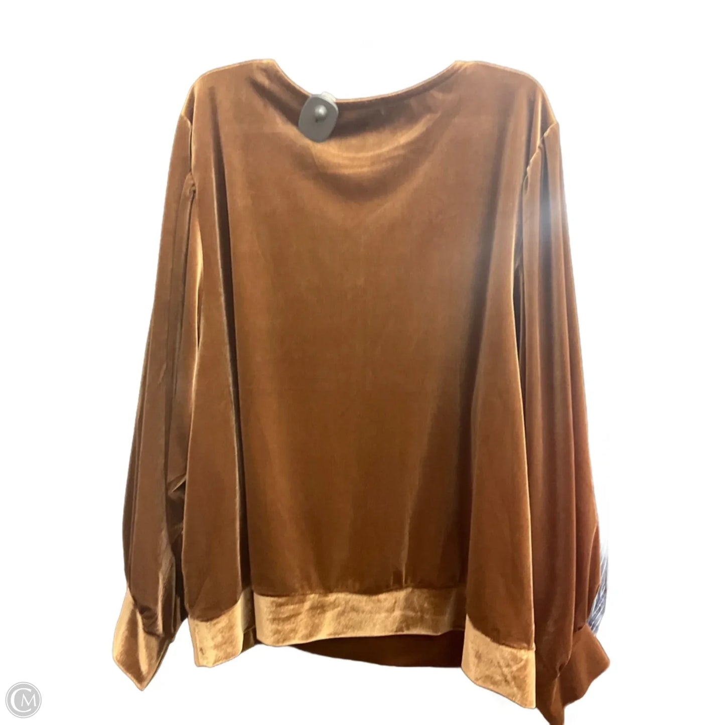 Top Long Sleeve By Ellos In Brown, Size: 2x