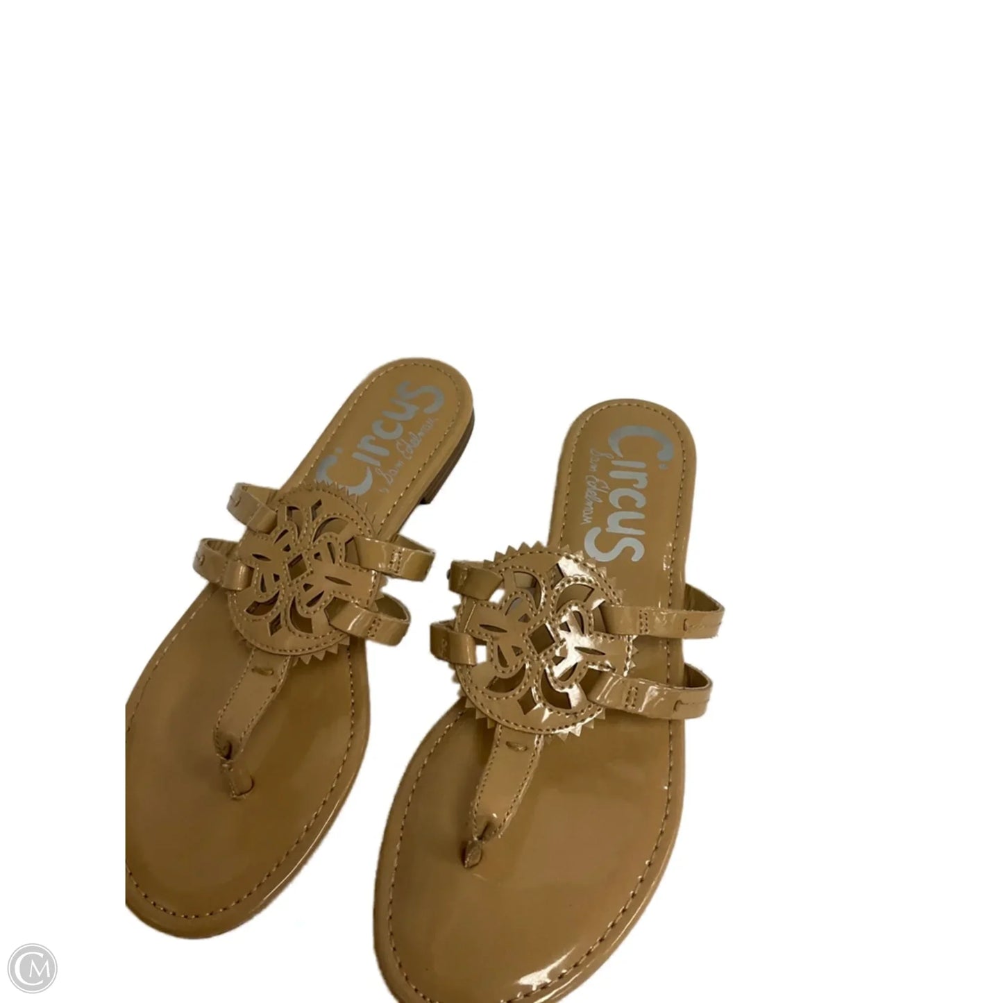 Sandals Flats By Circus By Sam Edelman In Tan, Size: 7.5