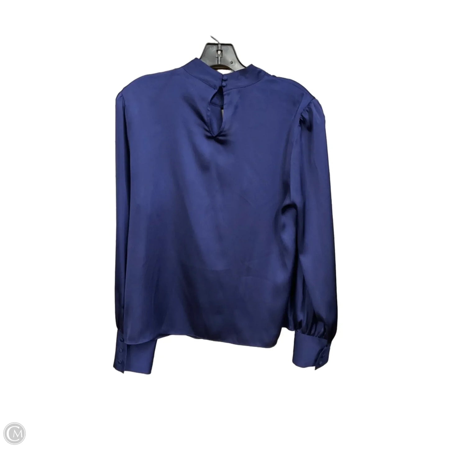Blouse Long Sleeve By Bar Iii In Blue, Size: L