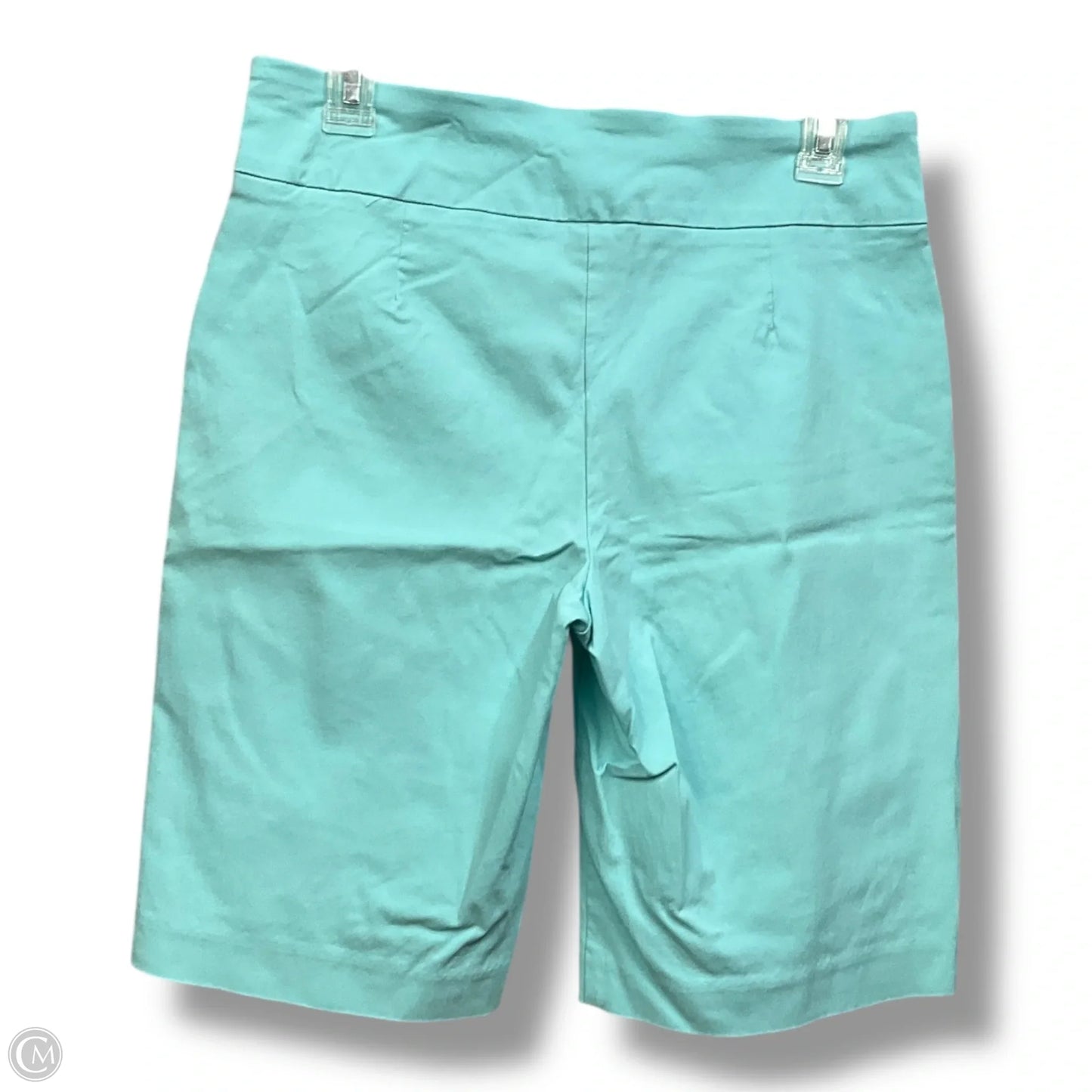 Shorts By Attyre In Aqua, Size: 6