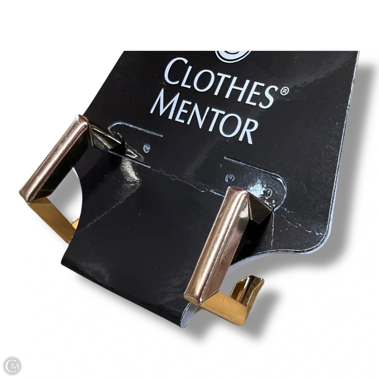 Earrings Hoop By Clothes Mentor