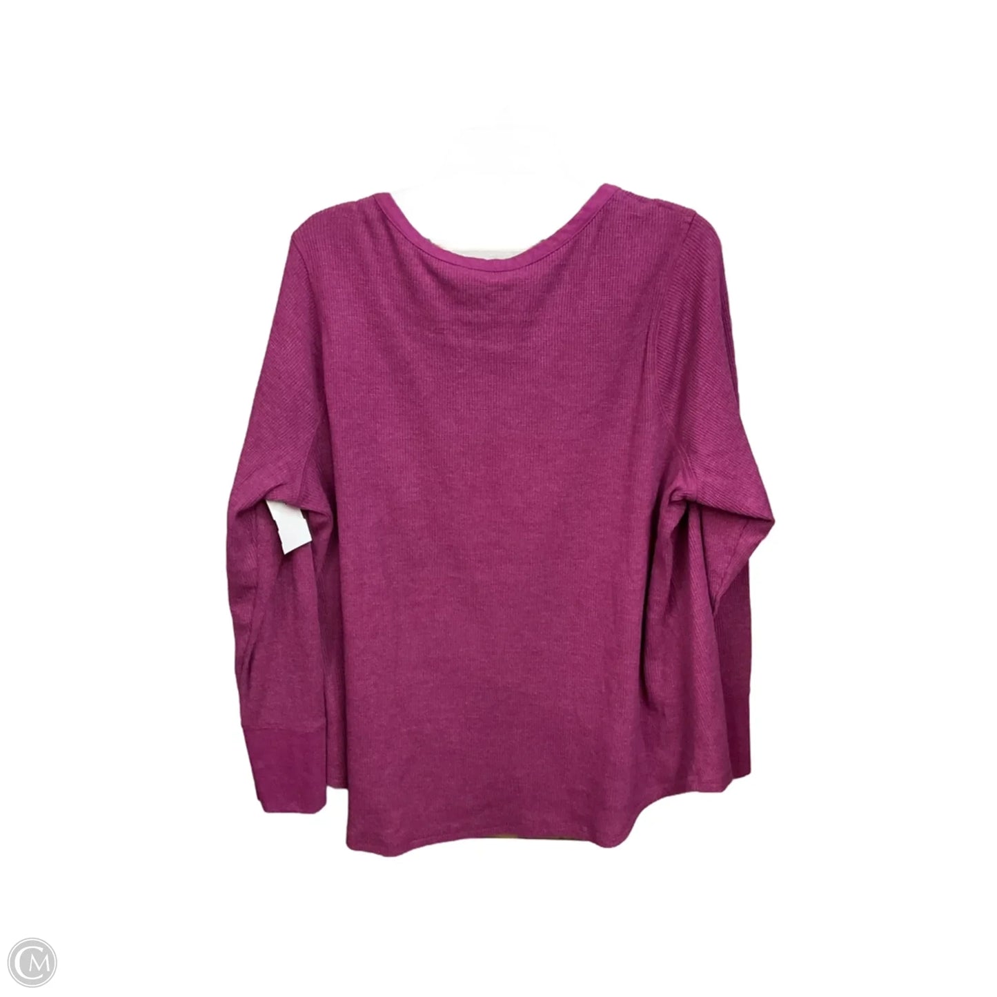 Top Long Sleeve By Terra & Sky In Purple, Size: 2x