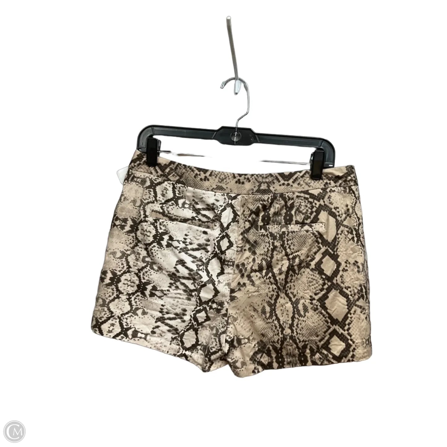 Shorts By Jennifer Lopez In Snakeskin Print, Size: 6