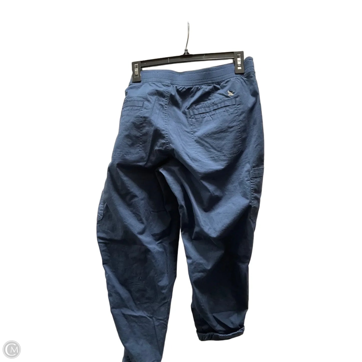 Pants Cargo & Utility By Eddie Bauer In Blue, Size: 14