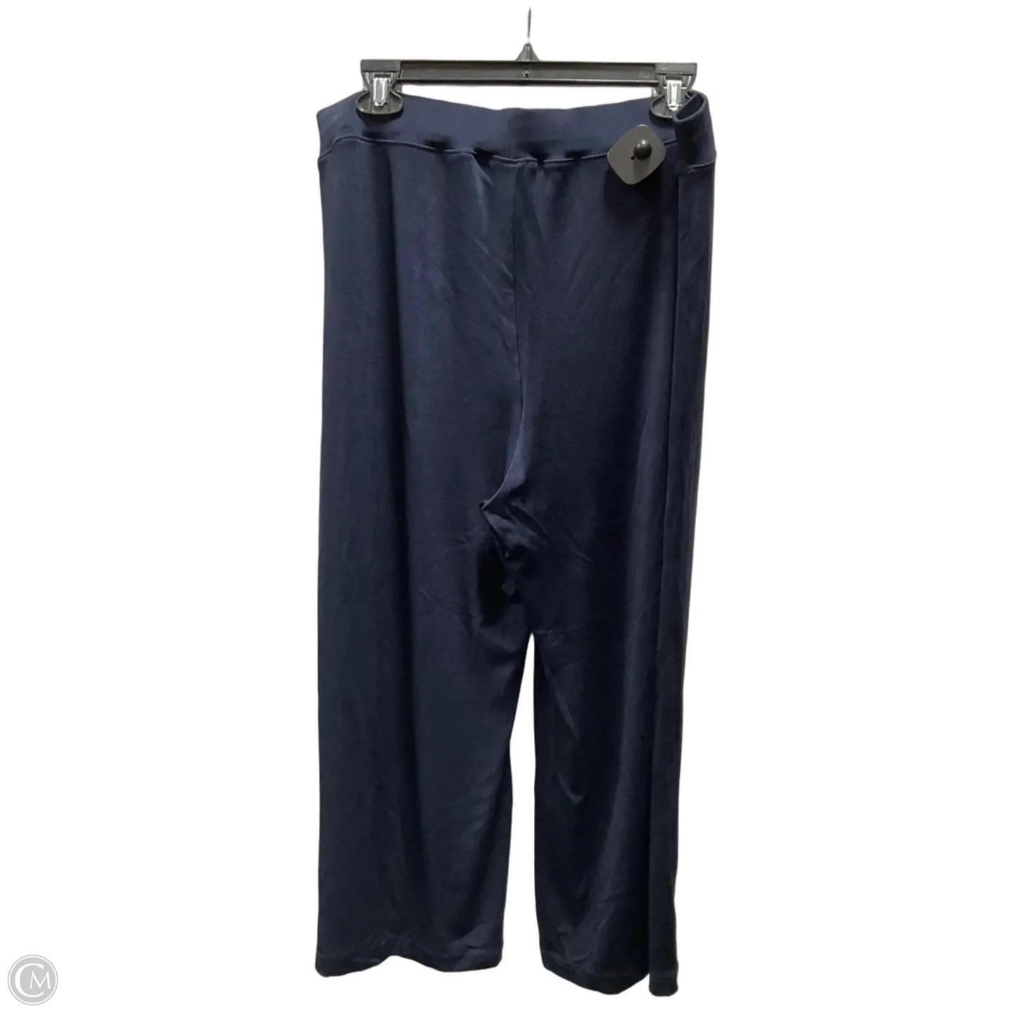 Pants Other By Chicos In Blue, Size: L