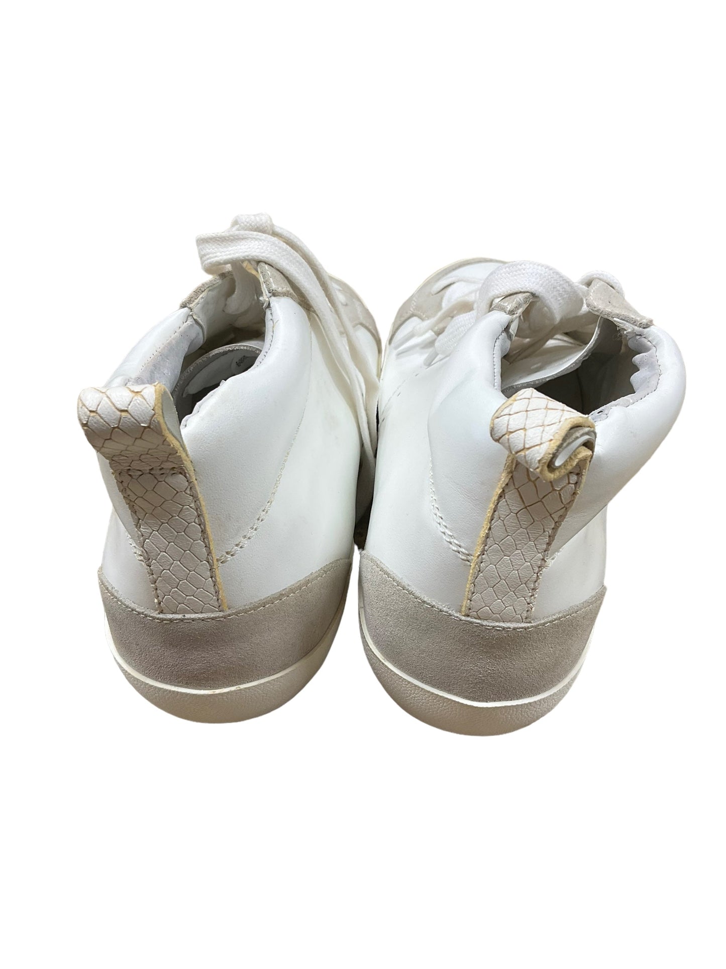 Shoes Athletic By Banana Republic Size: 10.5