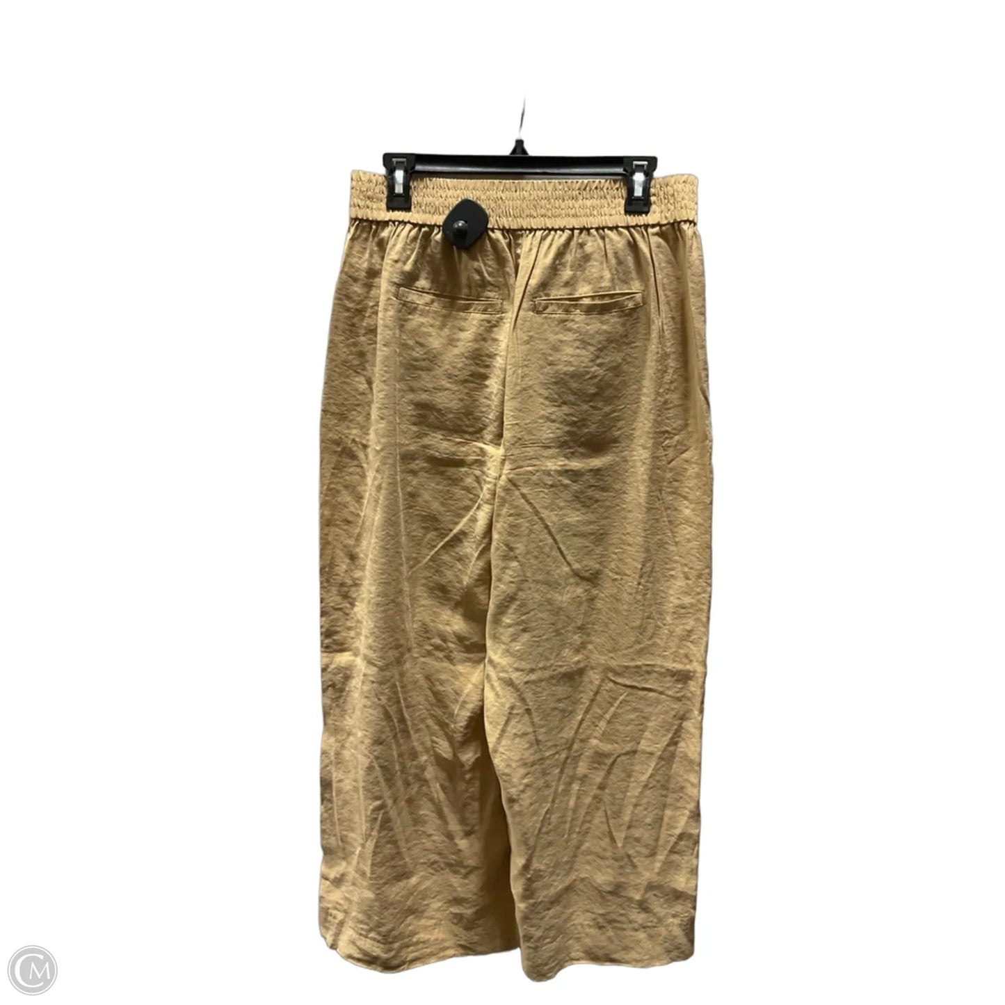 Pants Wide Leg By Madewell In Brown, Size: M